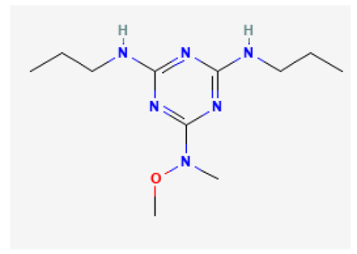 Biomedicines 11 02177 i005