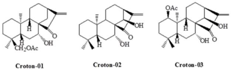 Biomedicines 11 02177 i009