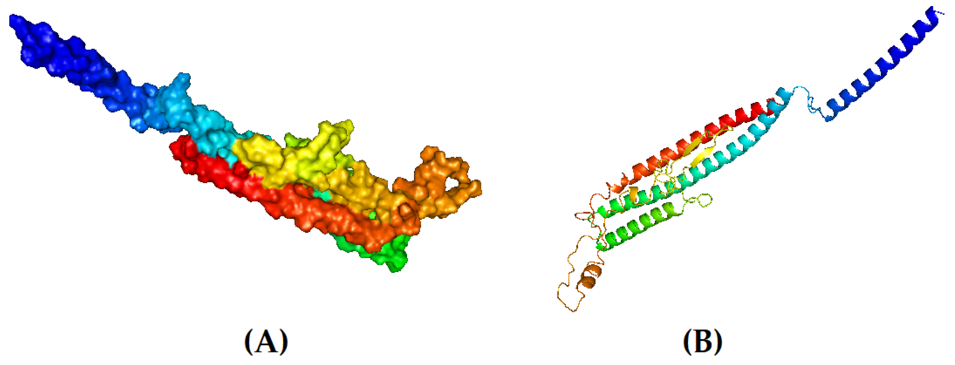 Biomedicines 11 02180 g004