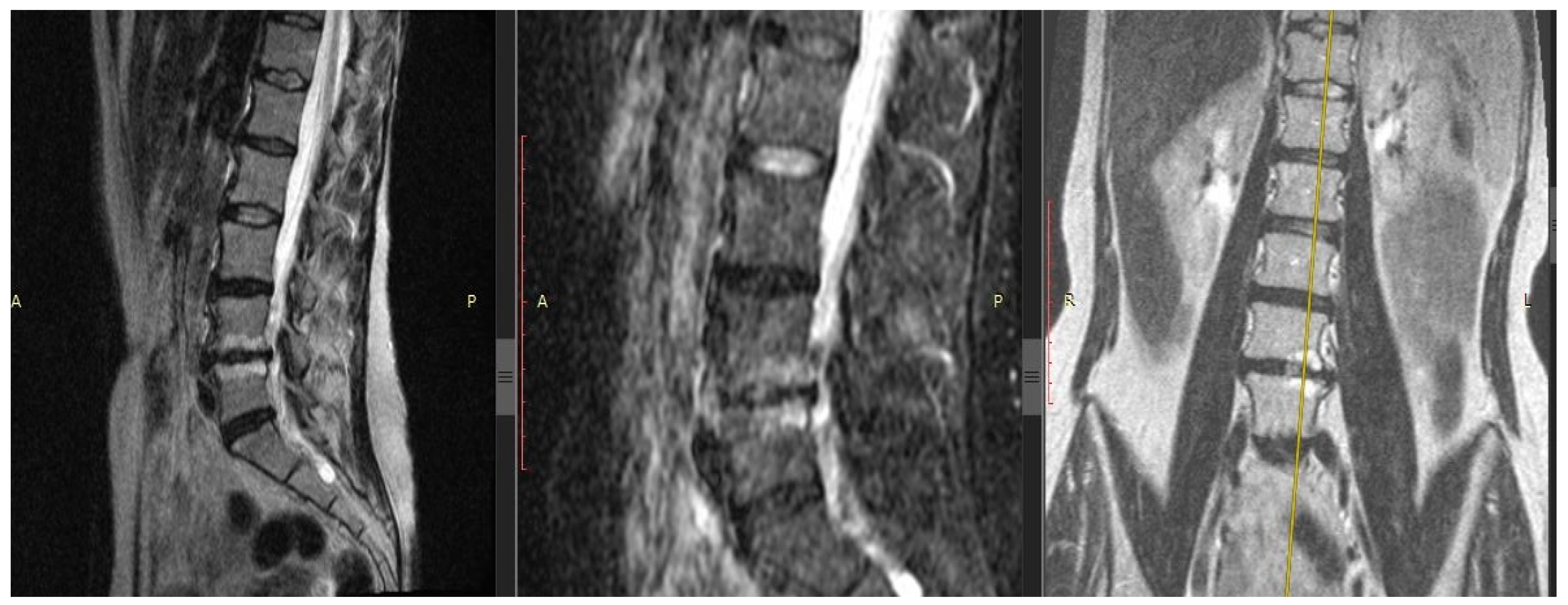 Biomedicines 11 02184 g001 Biomedicines 11 02184 g001