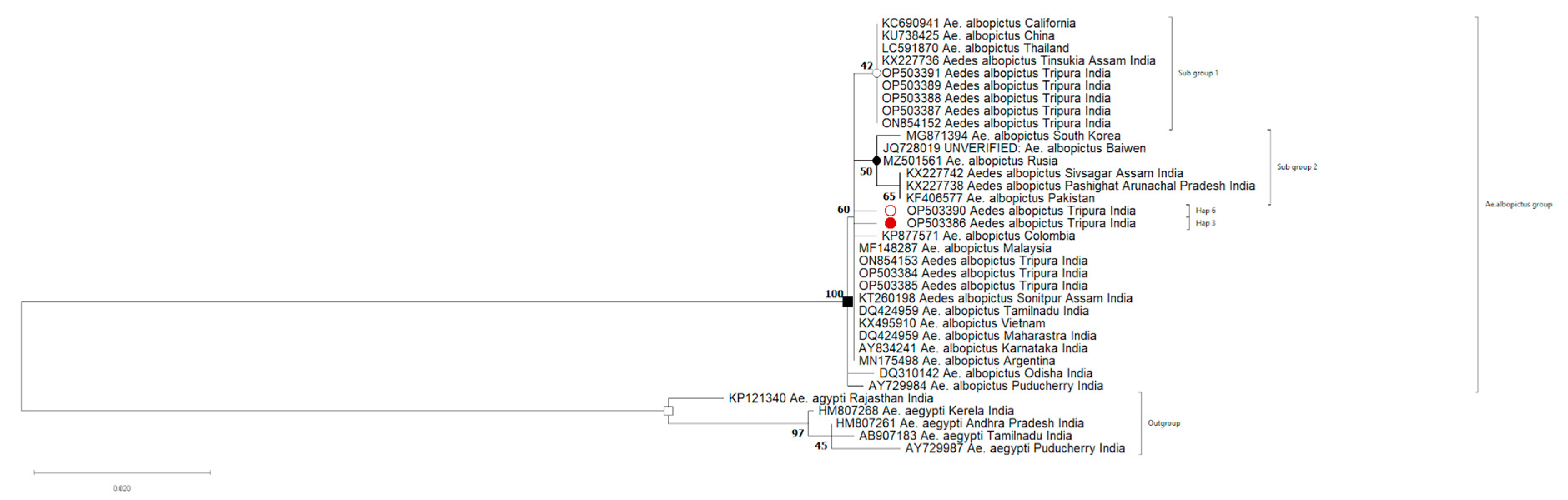 Biomedicines 11 02186 g003 Biomedicines 11 02186 g003
