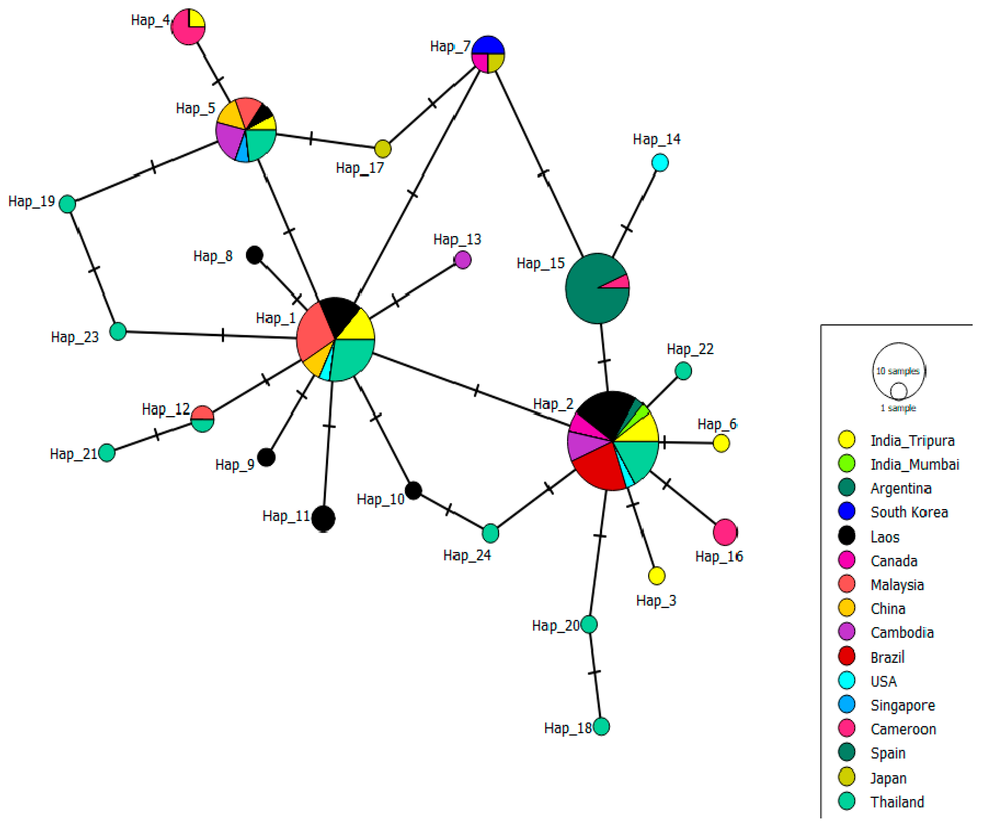 Biomedicines 11 02186 g004 Biomedicines 11 02186 g004