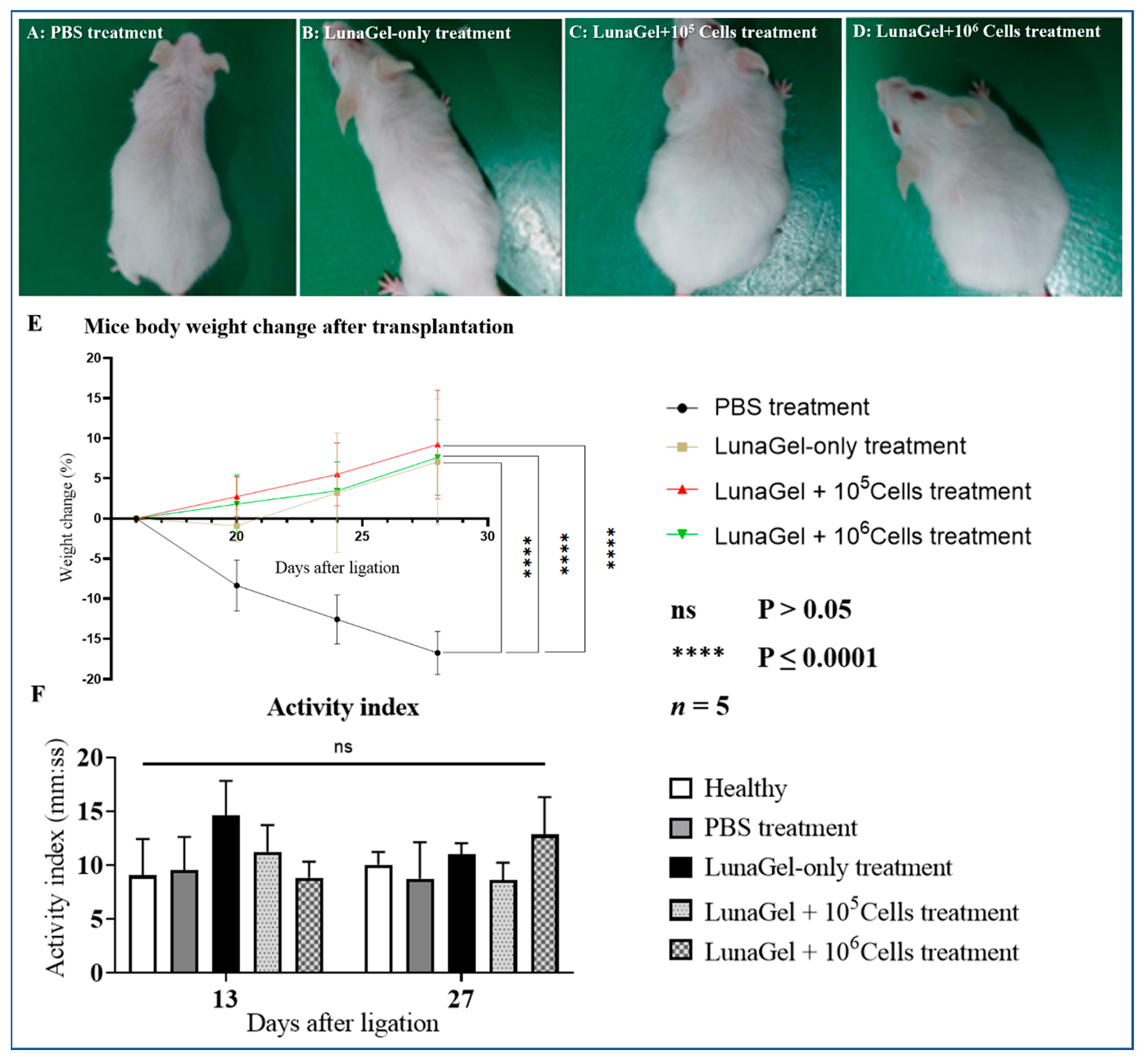 Biomedicines 11 02187 g001 Biomedicines 11 02187 g001