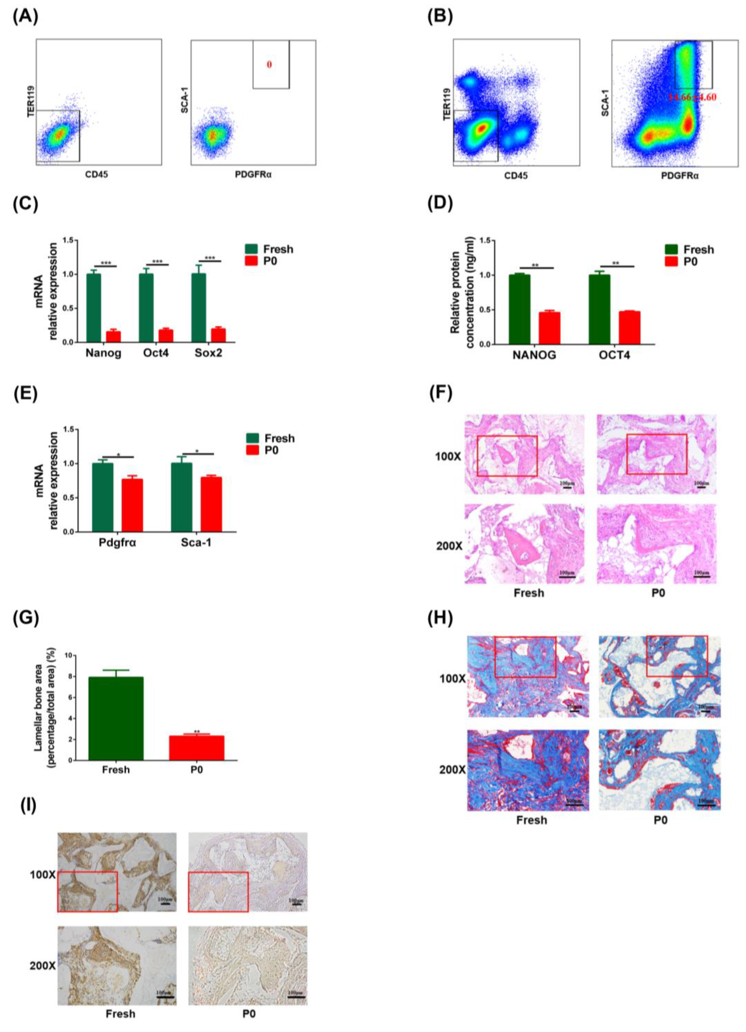 Biomedicines 11 02190 g002 Biomedicines 11 02190 g002
