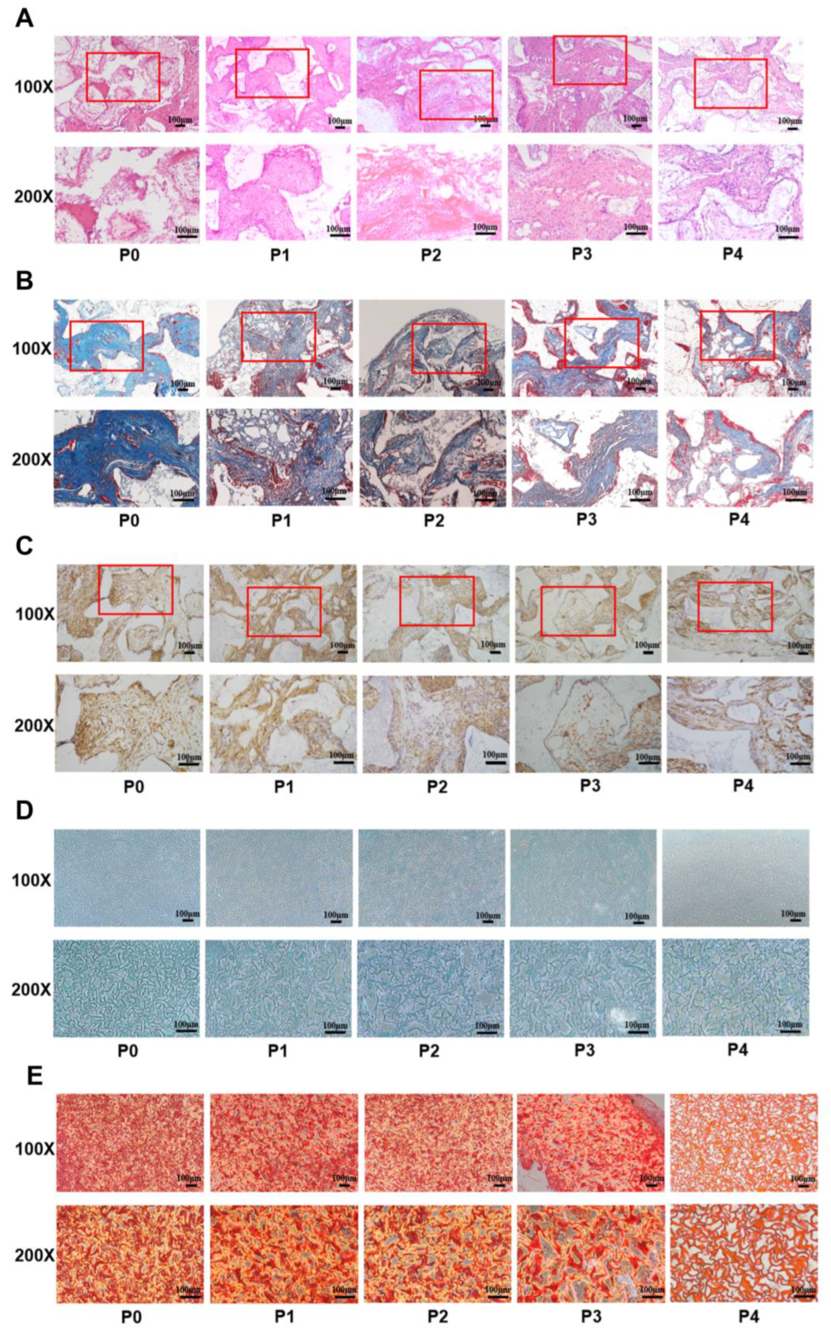 Biomedicines 11 02190 g004 Biomedicines 11 02190 g004