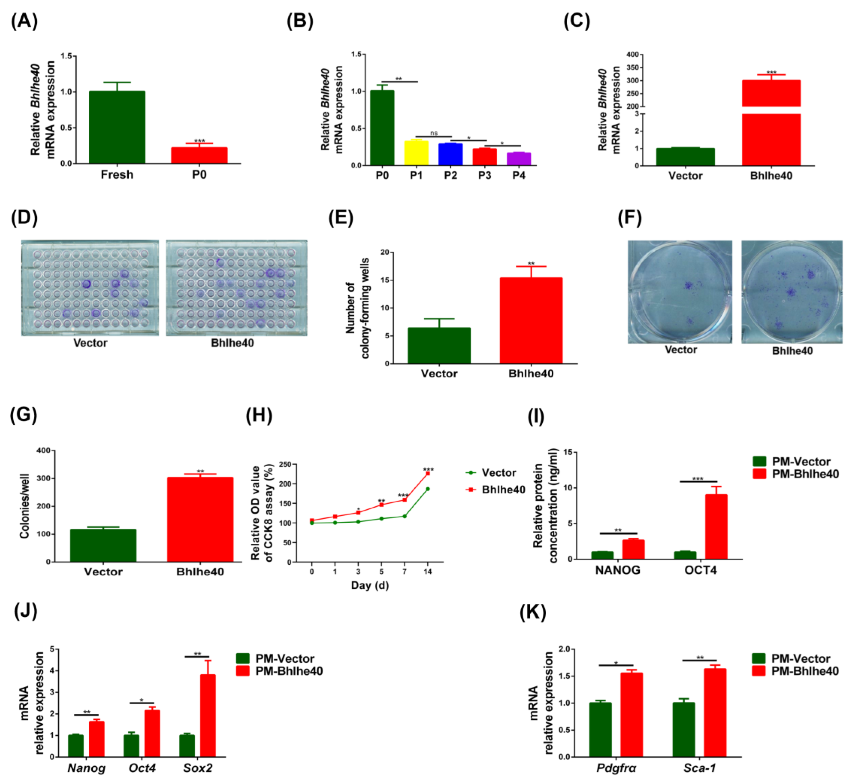 Biomedicines 11 02190 g005 Biomedicines 11 02190 g005