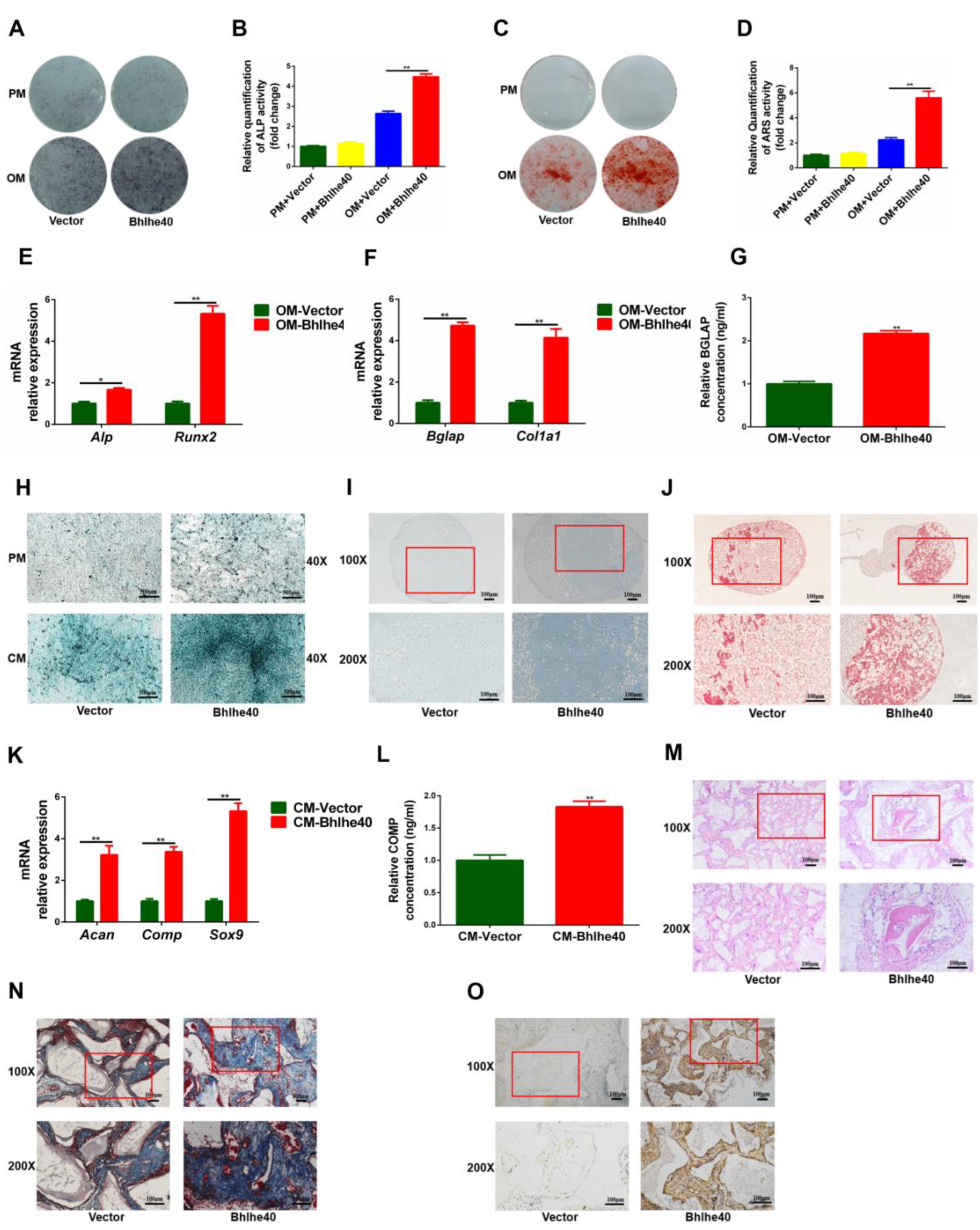 Biomedicines 11 02190 g006 Biomedicines 11 02190 g006