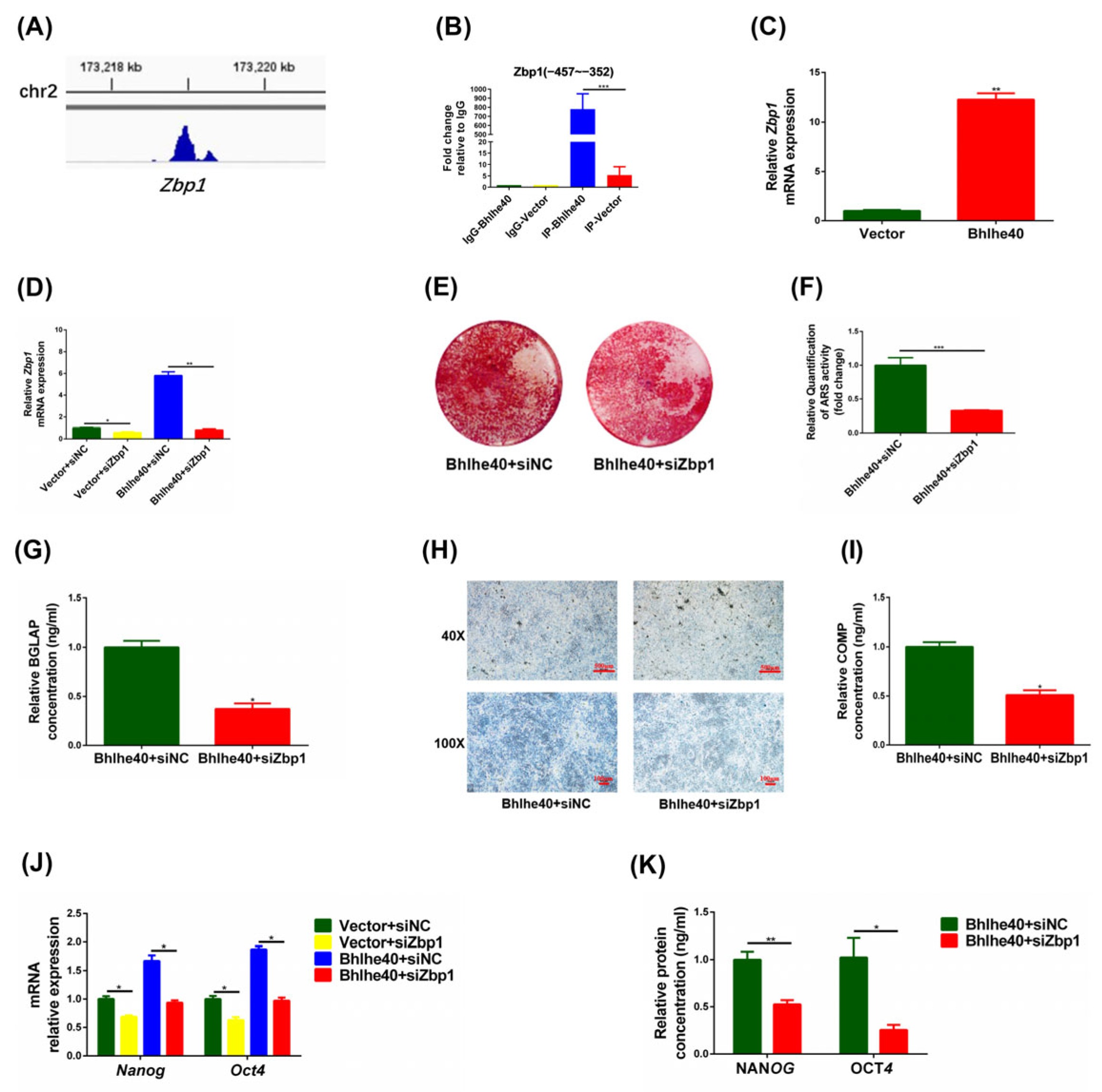 Biomedicines 11 02190 g007 Biomedicines 11 02190 g007