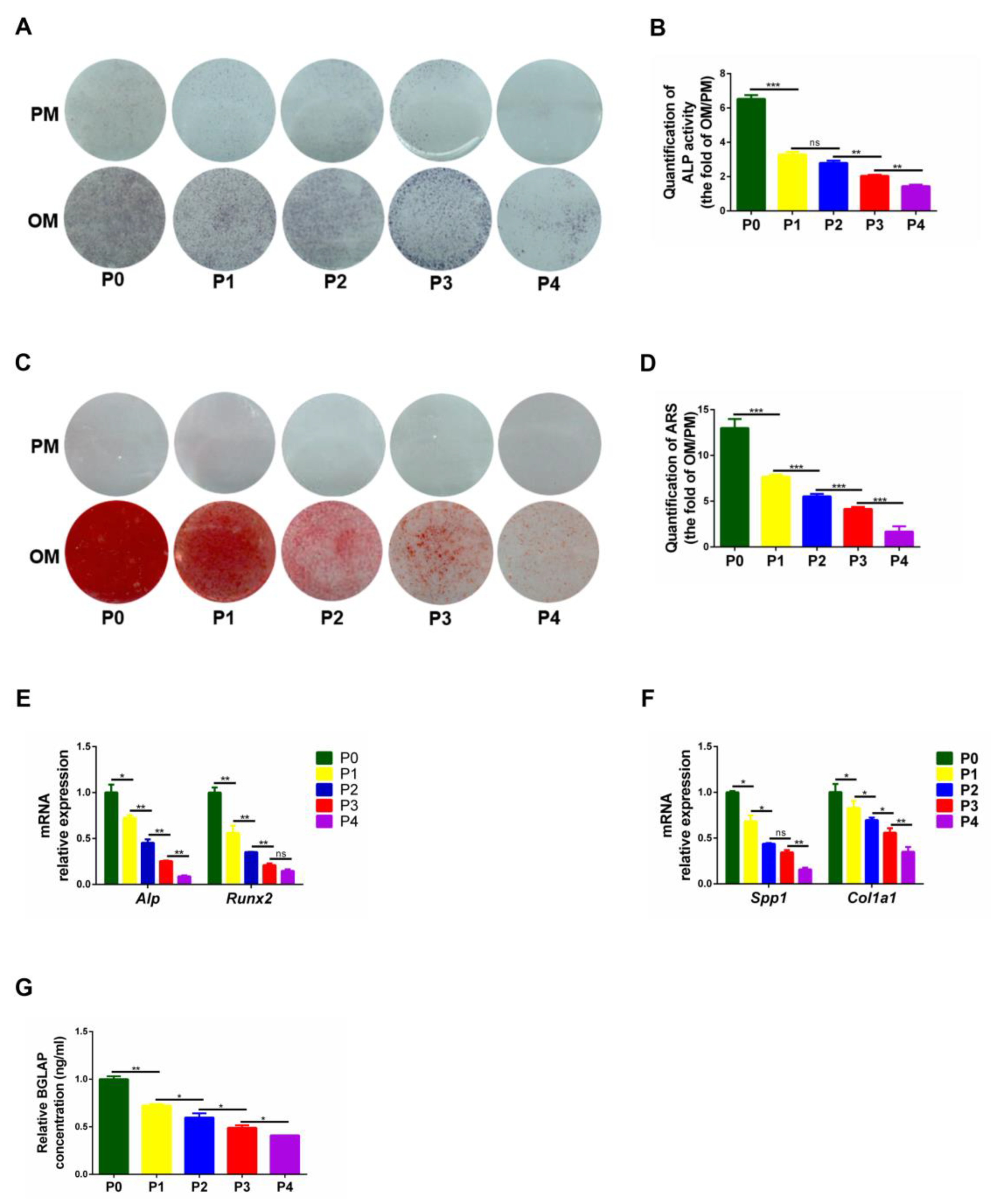 Biomedicines 11 02190 g0a1 Biomedicines 11 02190 g0a1