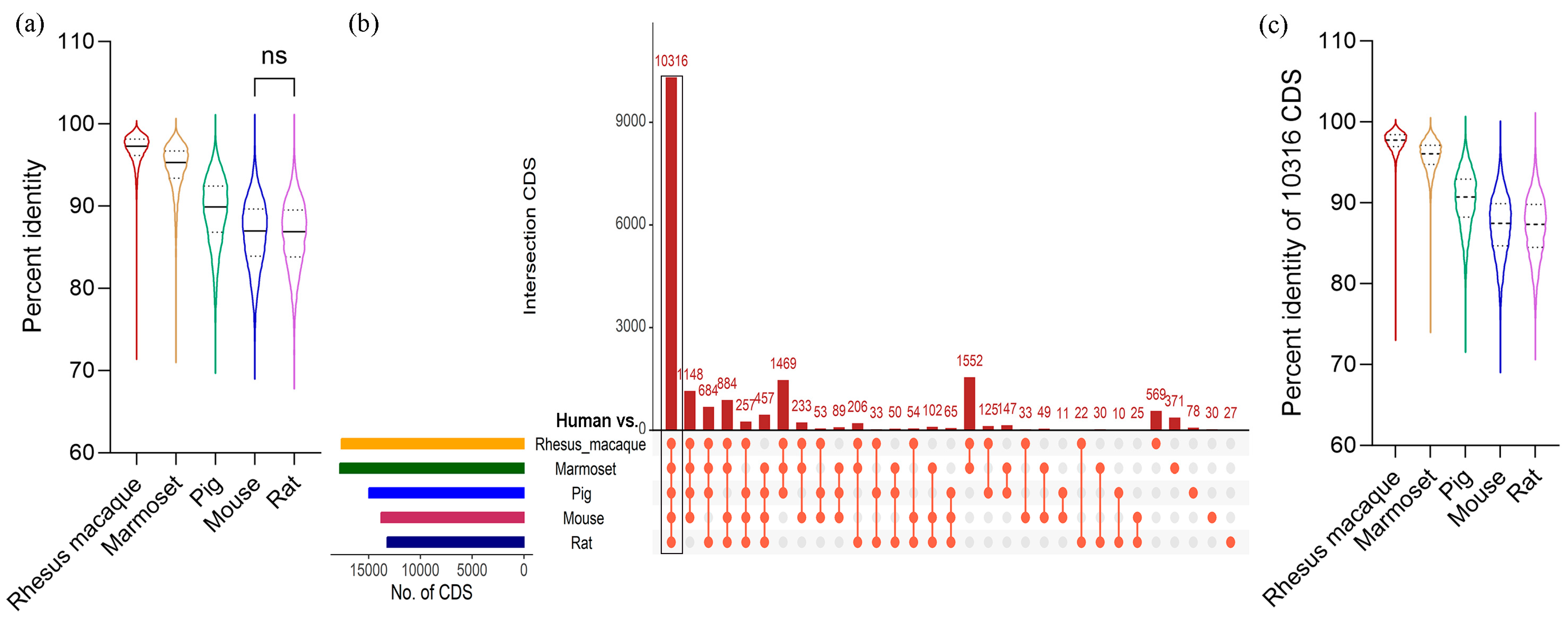 Biomedicines 11 02197 g002 Biomedicines 11 02197 g002