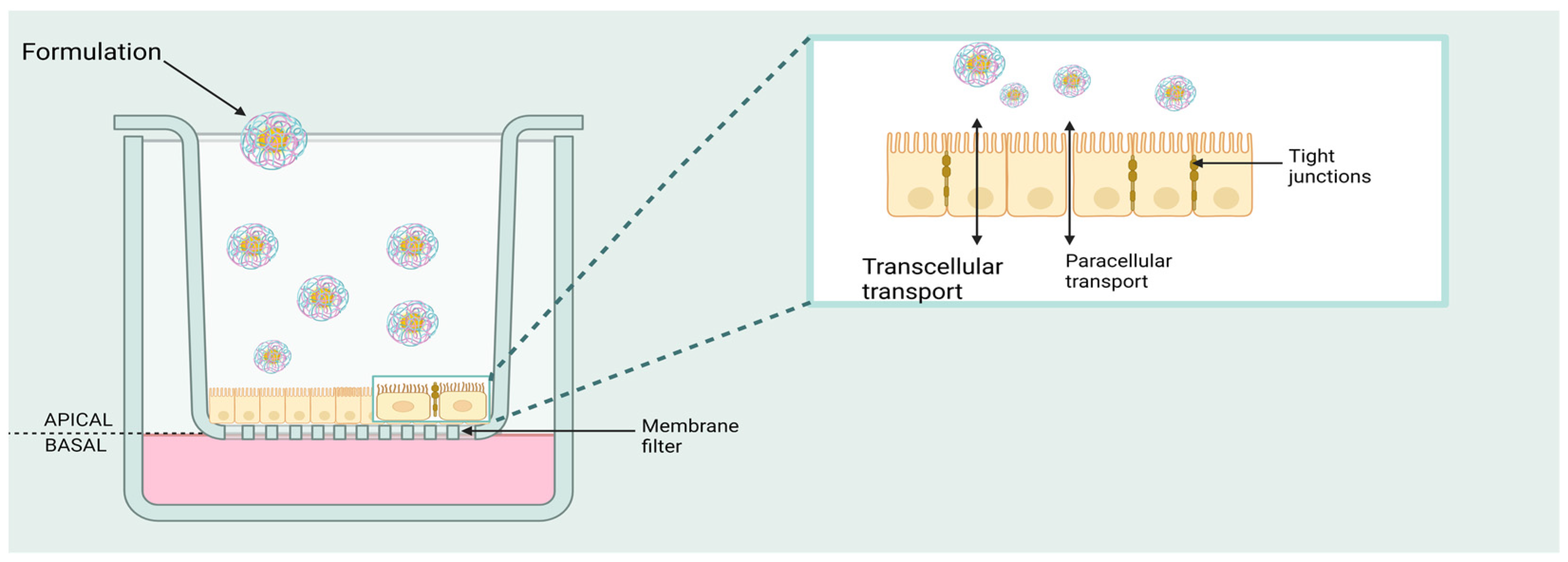 Biomedicines 11 02198 g001