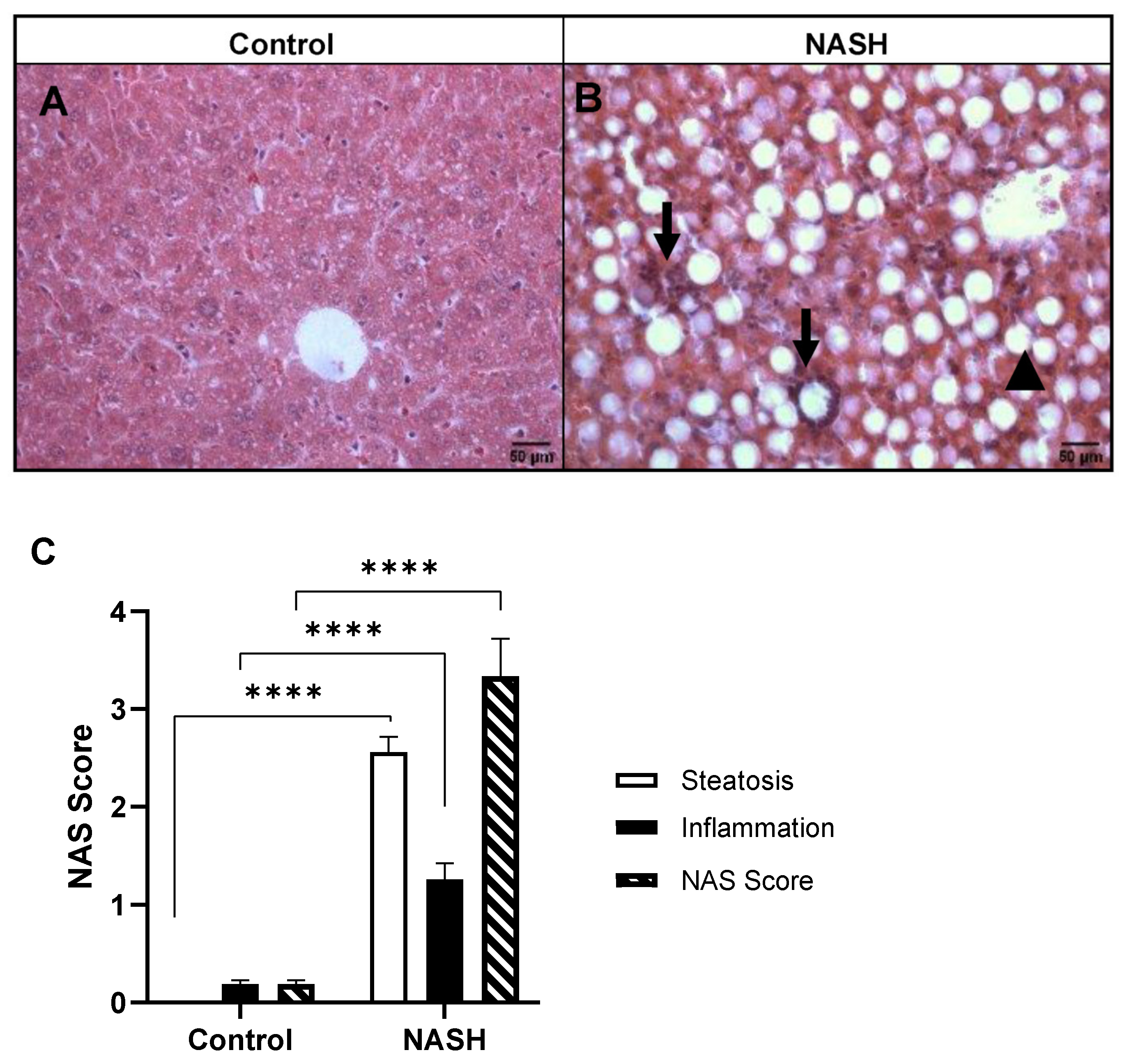 Biomedicines 11 02199 g002
