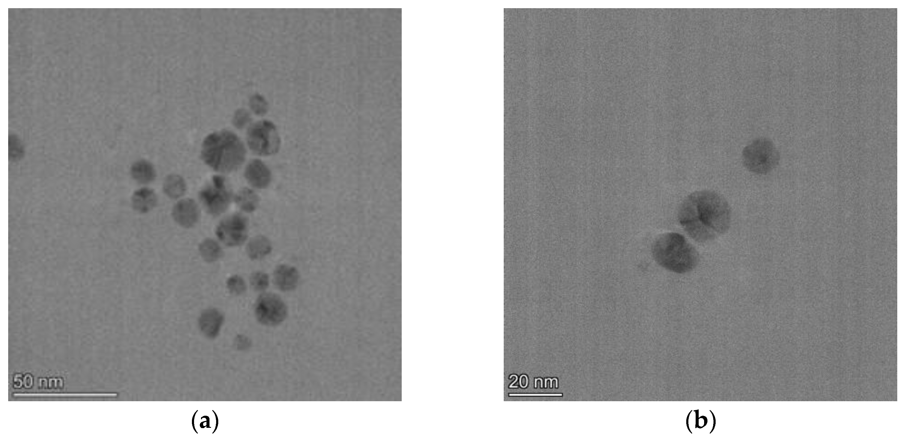 Biomedicines 11 02201 g004