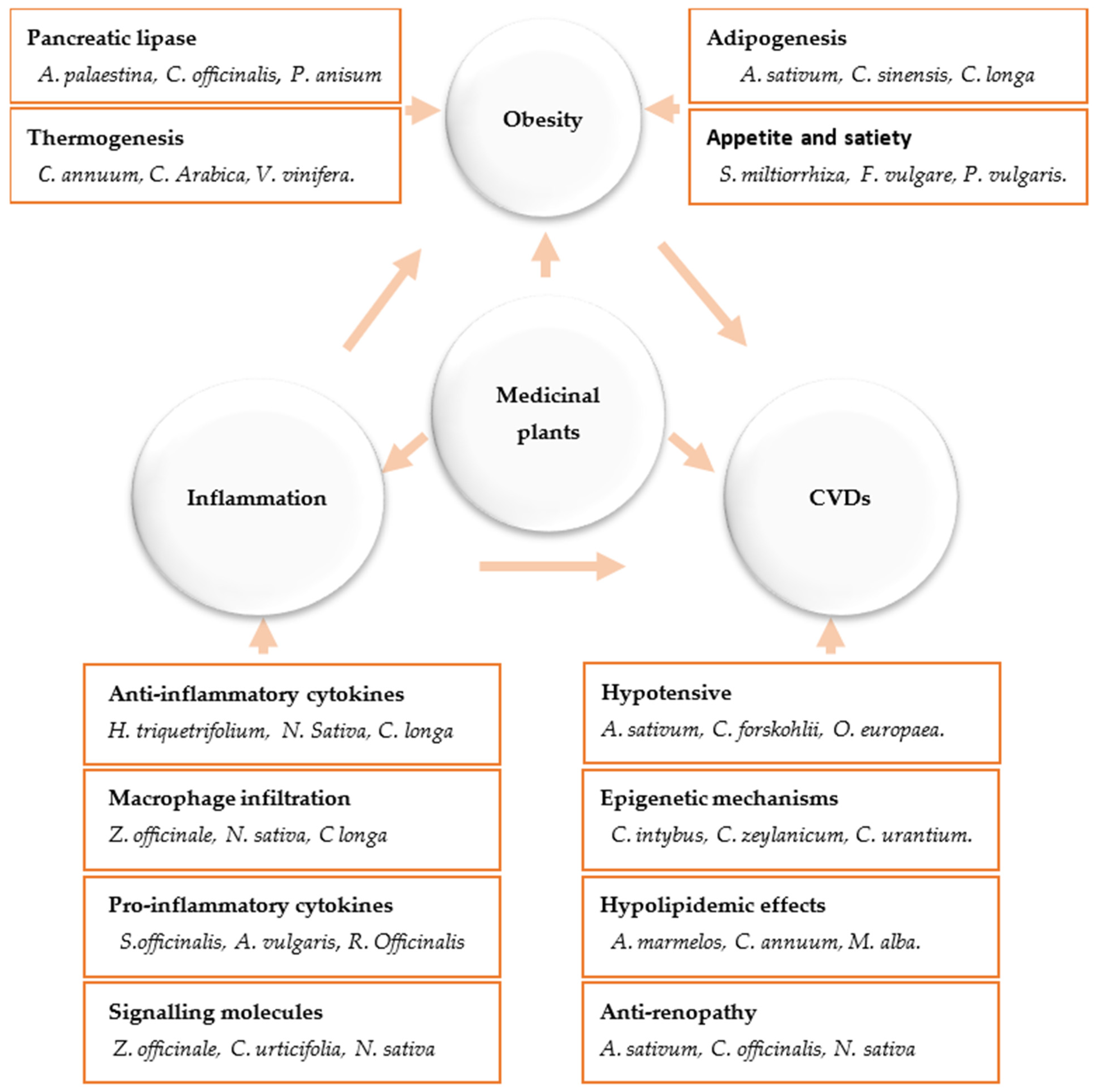 Biomedicines 11 02204 g002 Biomedicines 11 02204 g002