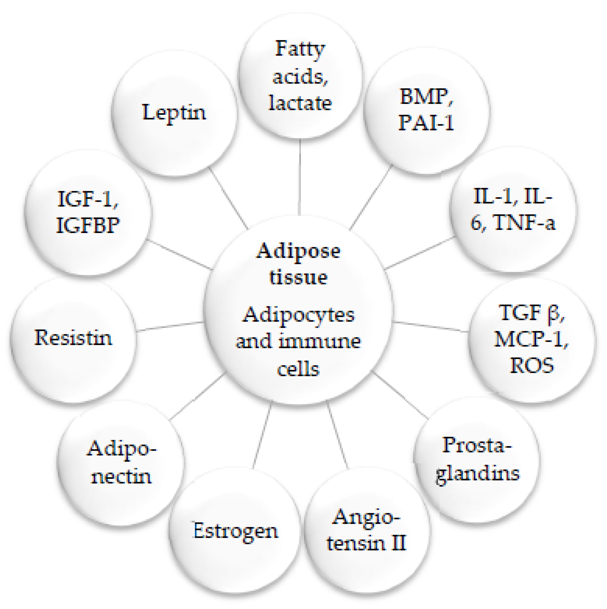 Biomedicines 11 02204 g003 Biomedicines 11 02204 g003