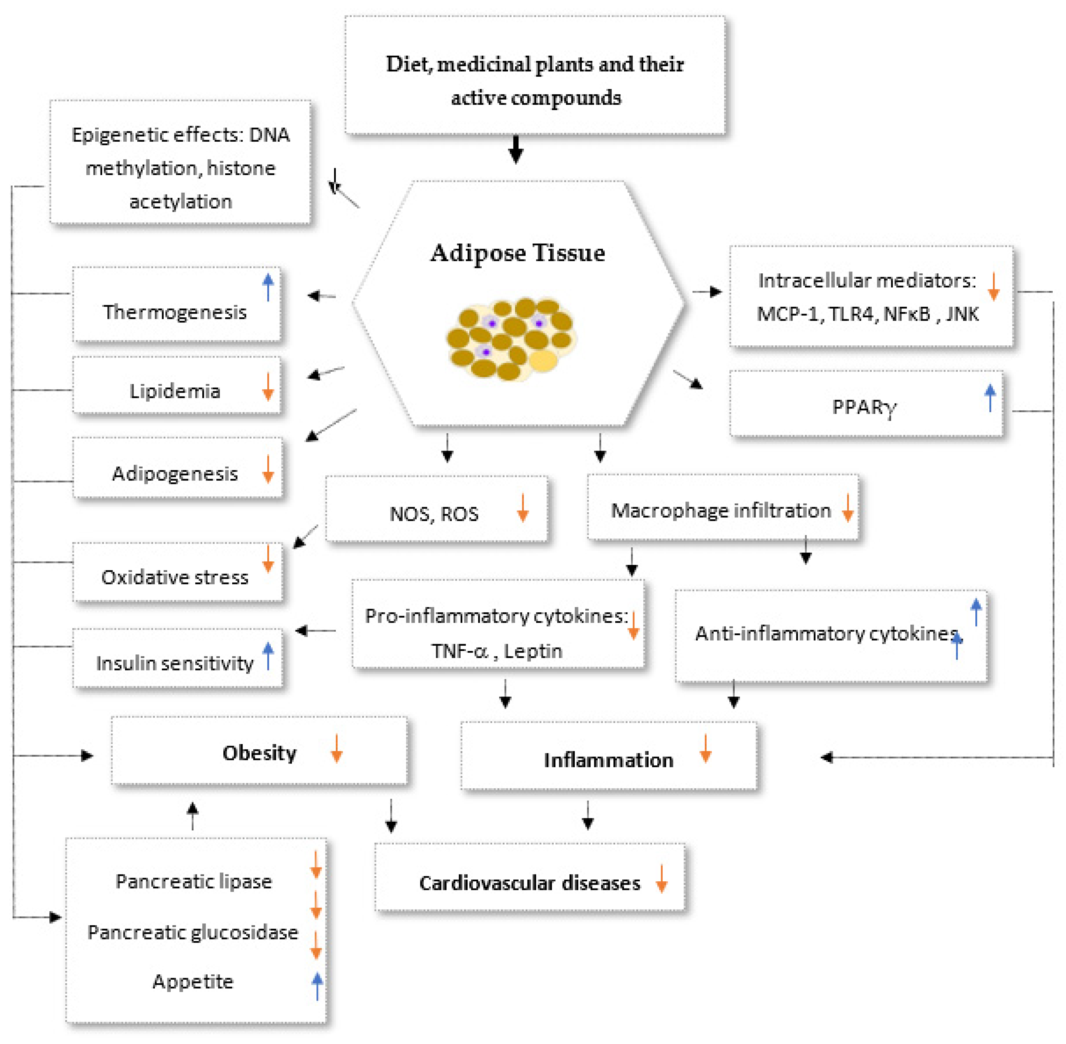 Biomedicines 11 02204 g005 Biomedicines 11 02204 g005