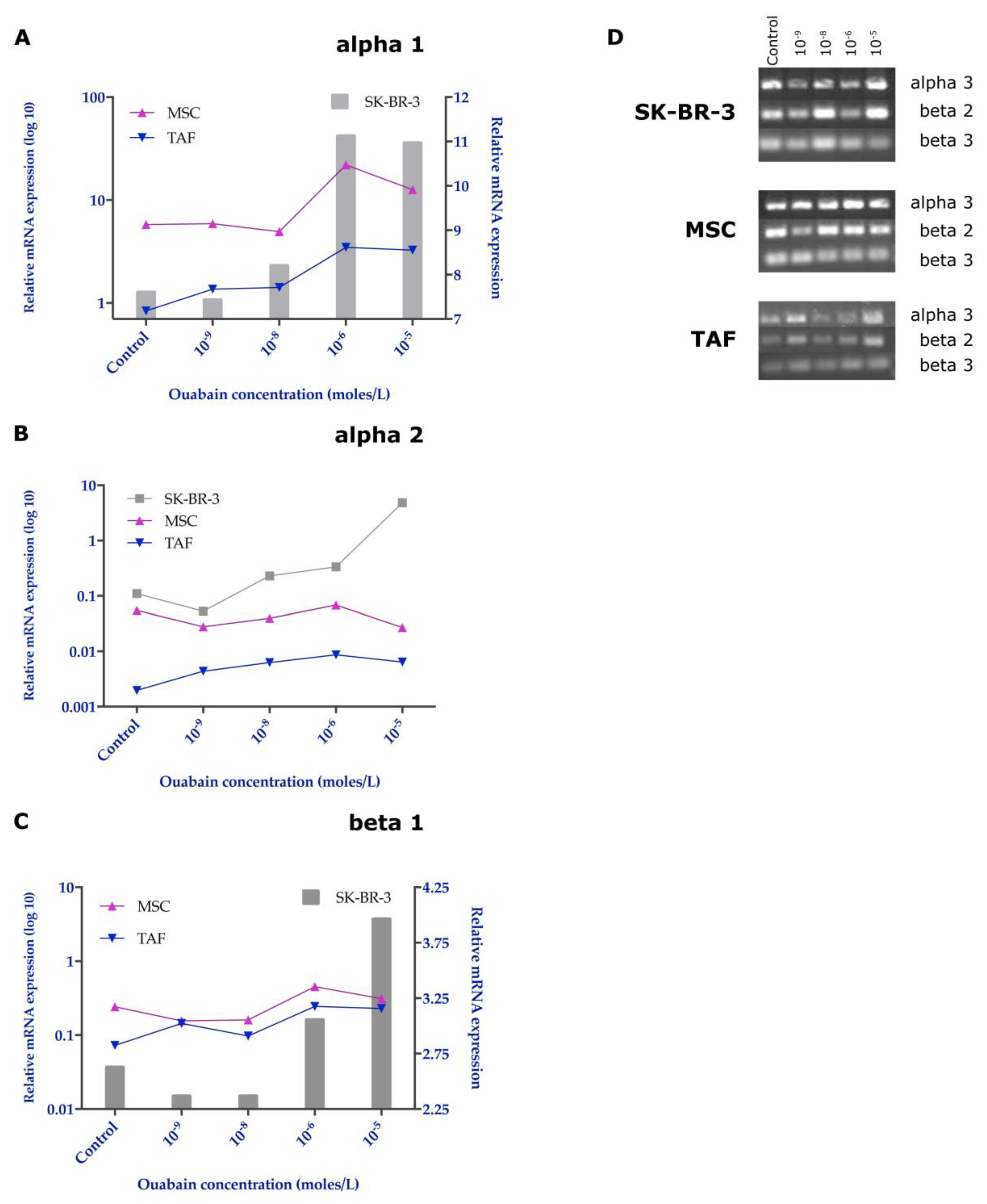 Biomedicines 11 02205 g007 Biomedicines 11 02205 g007