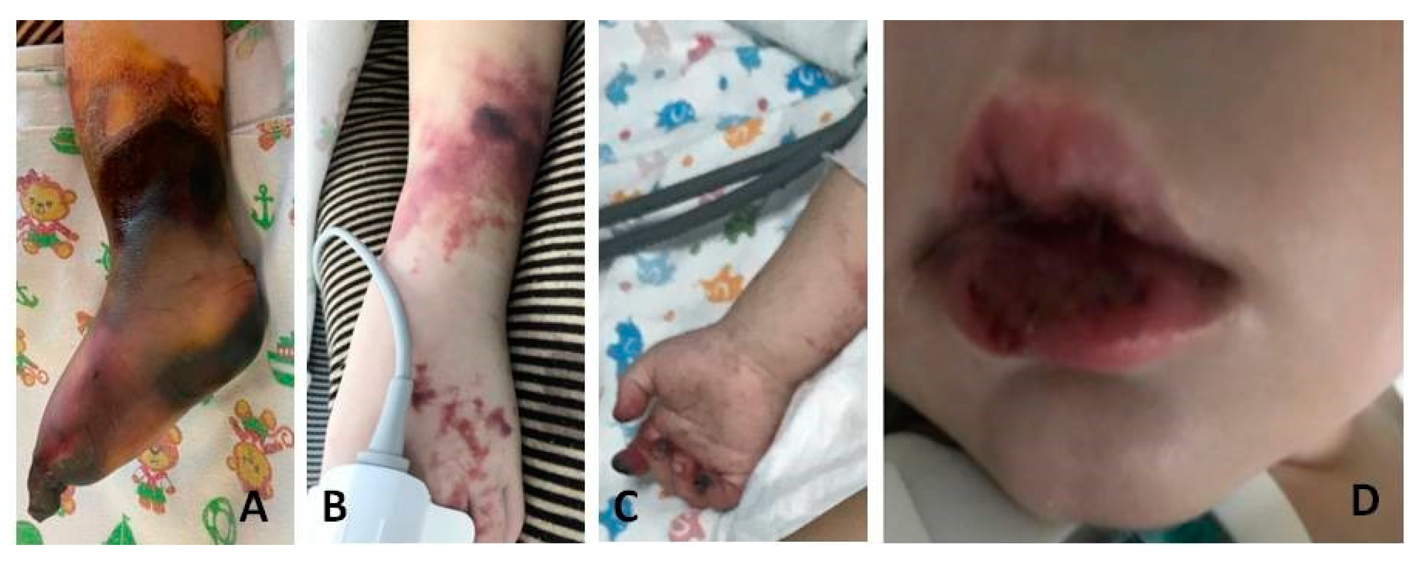 Biomedicines 11 02206 g001