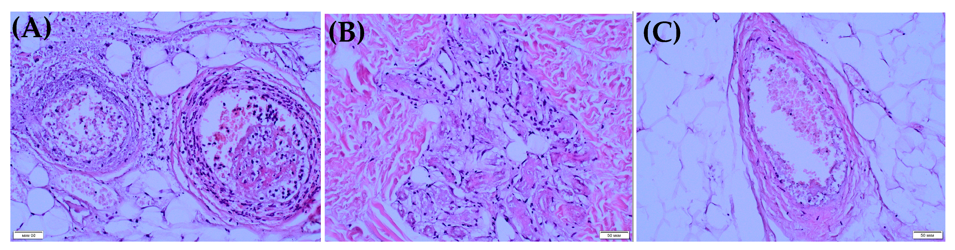 Biomedicines 11 02206 g003