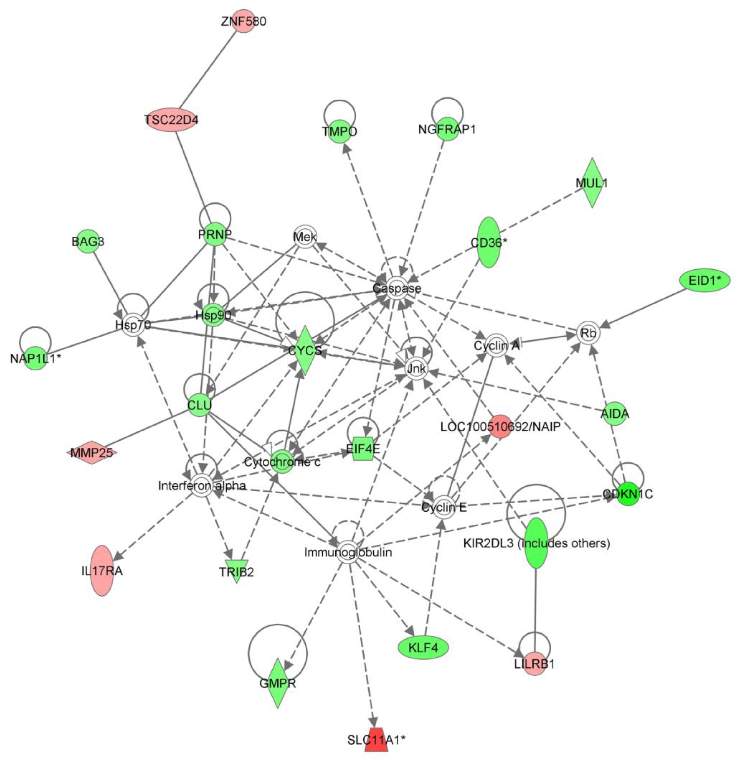 Biomedicines 11 02209 g002