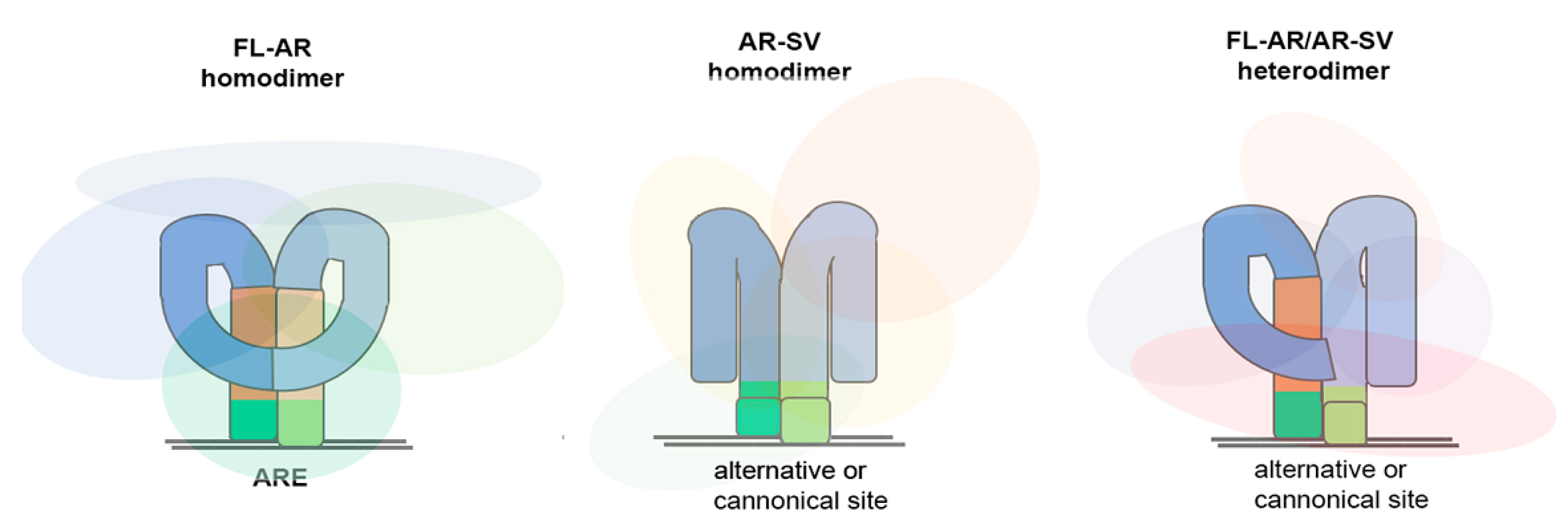 Biomedicines 11 02215 g002 Biomedicines 11 02215 g002