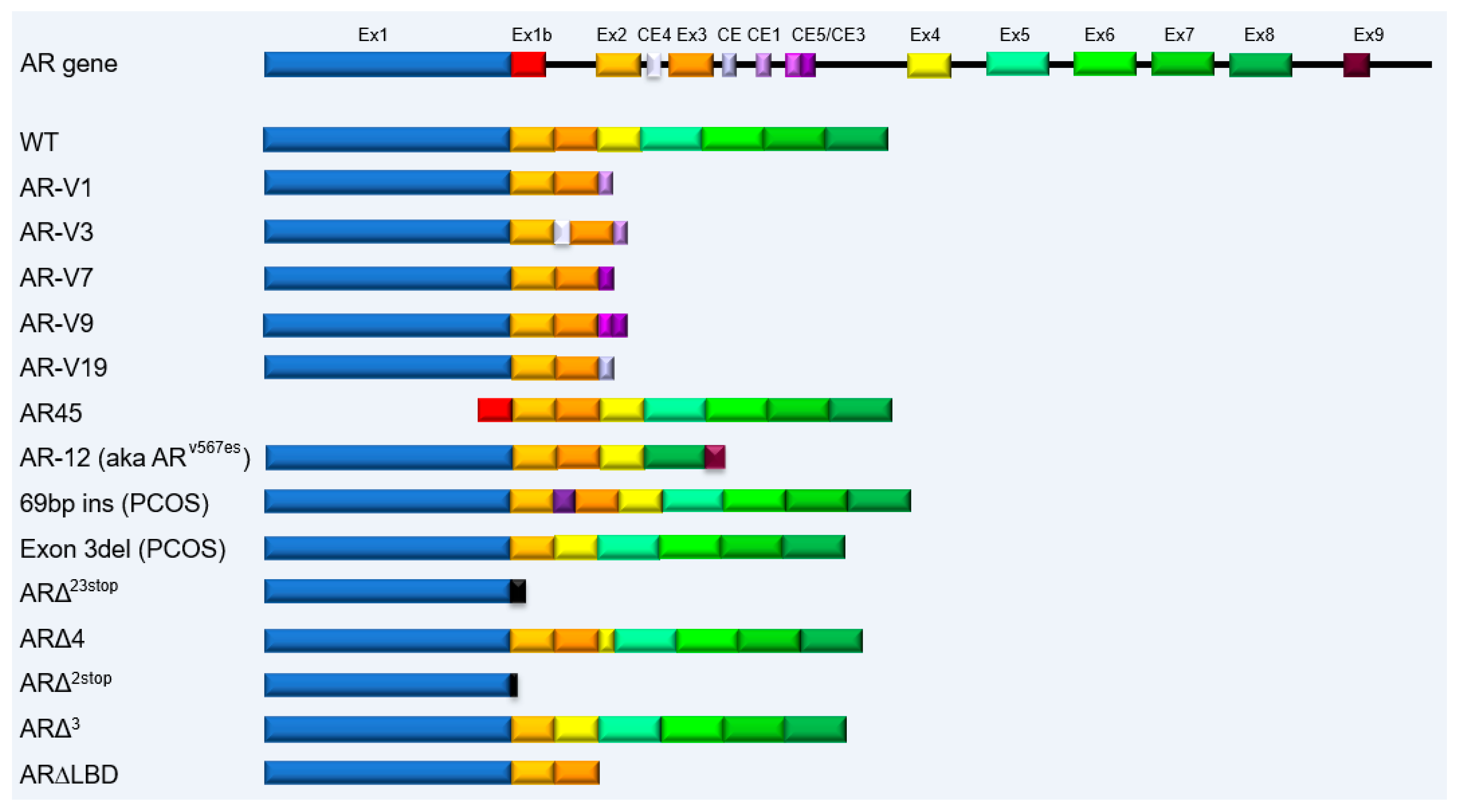Biomedicines 11 02215 g003 Biomedicines 11 02215 g003