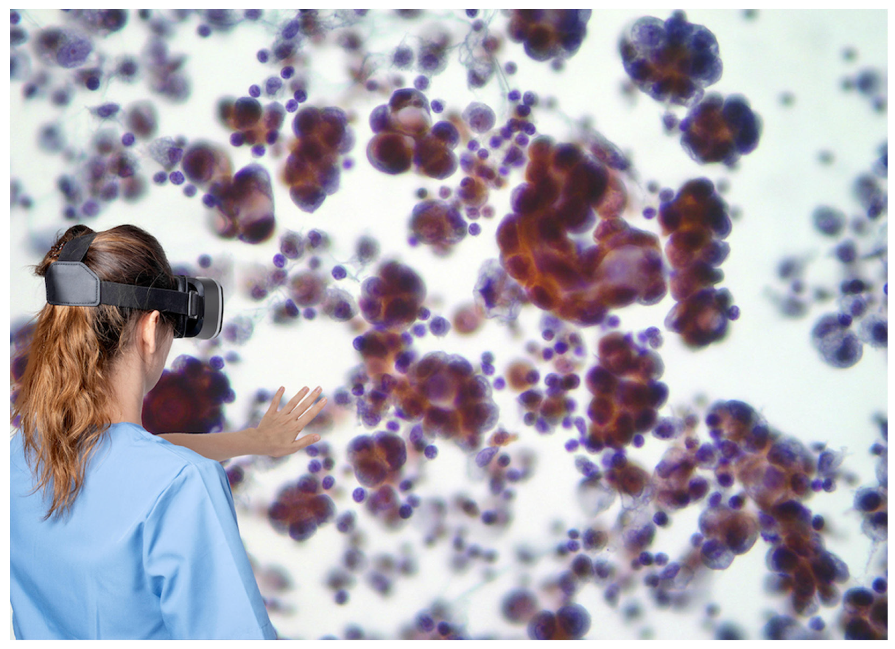 Biomedicines 11 02225 g002 Biomedicines 11 02225 g002