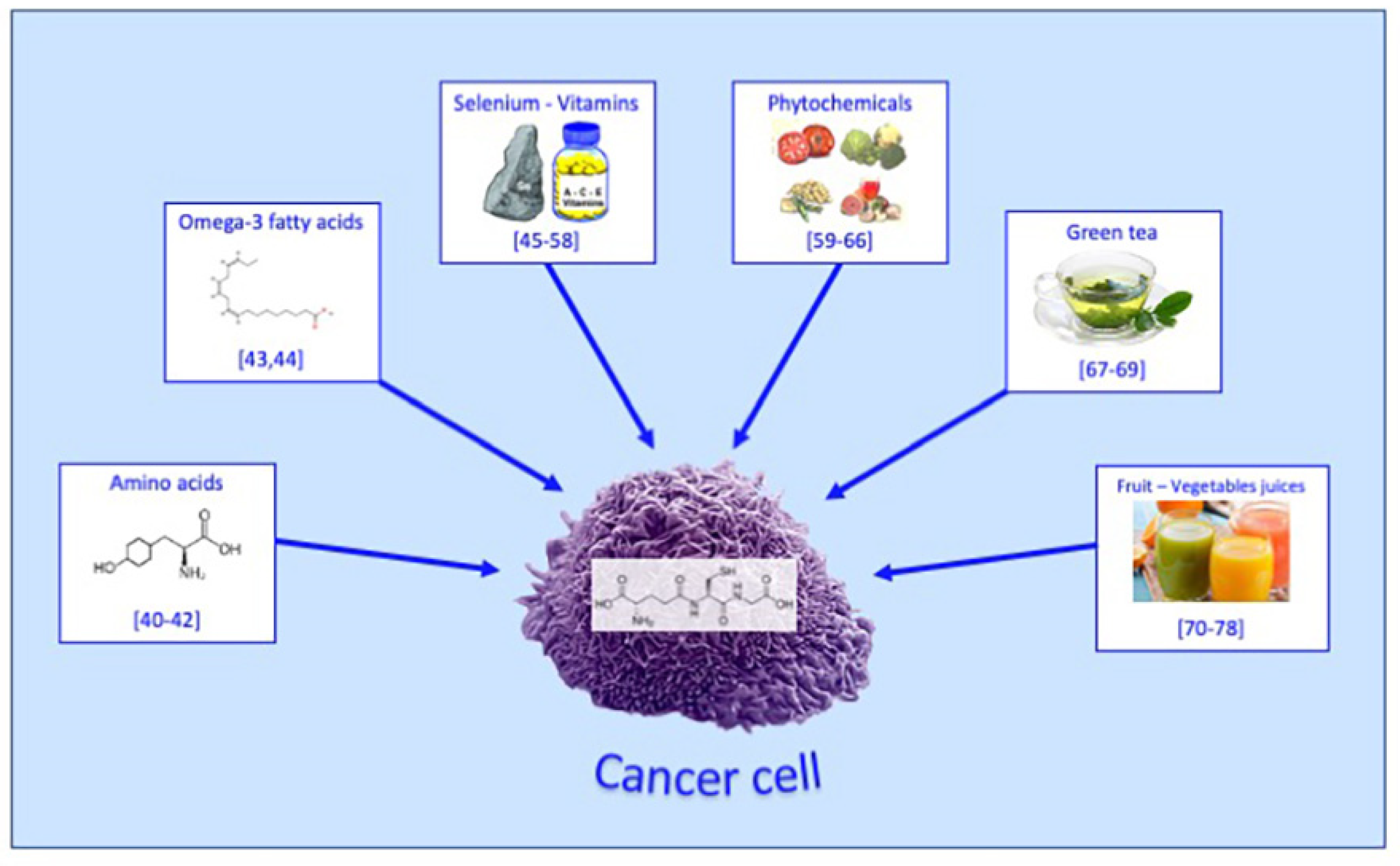 Biomedicines 11 02226 g003
