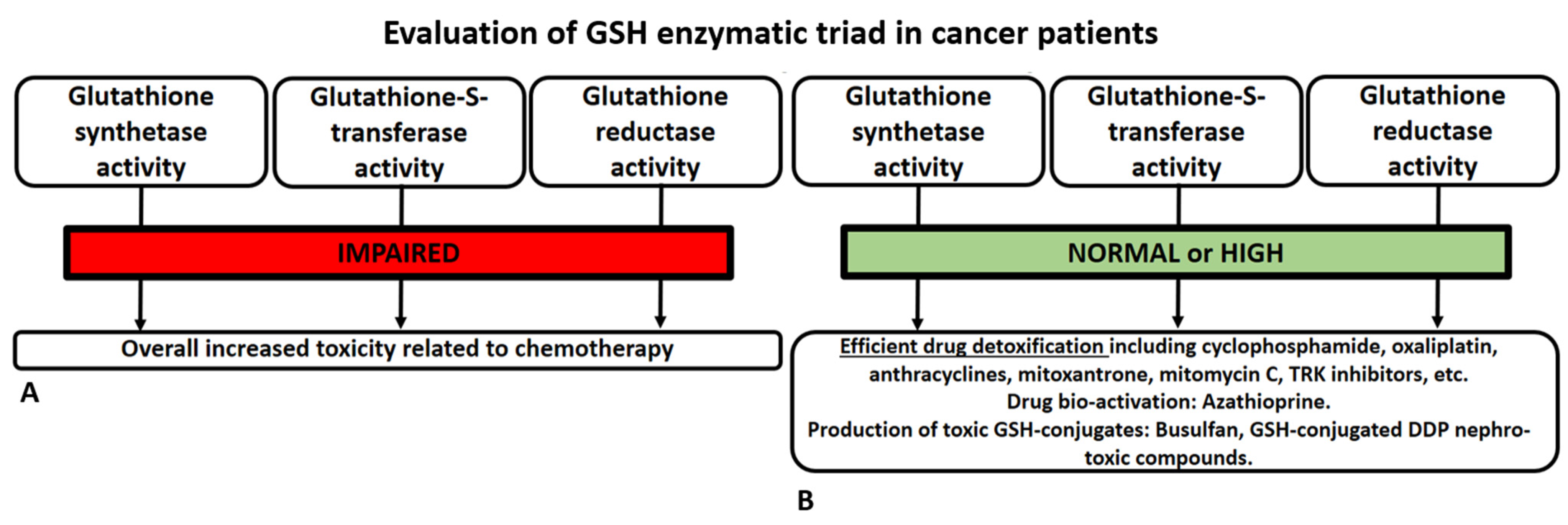 Biomedicines 11 02226 g004