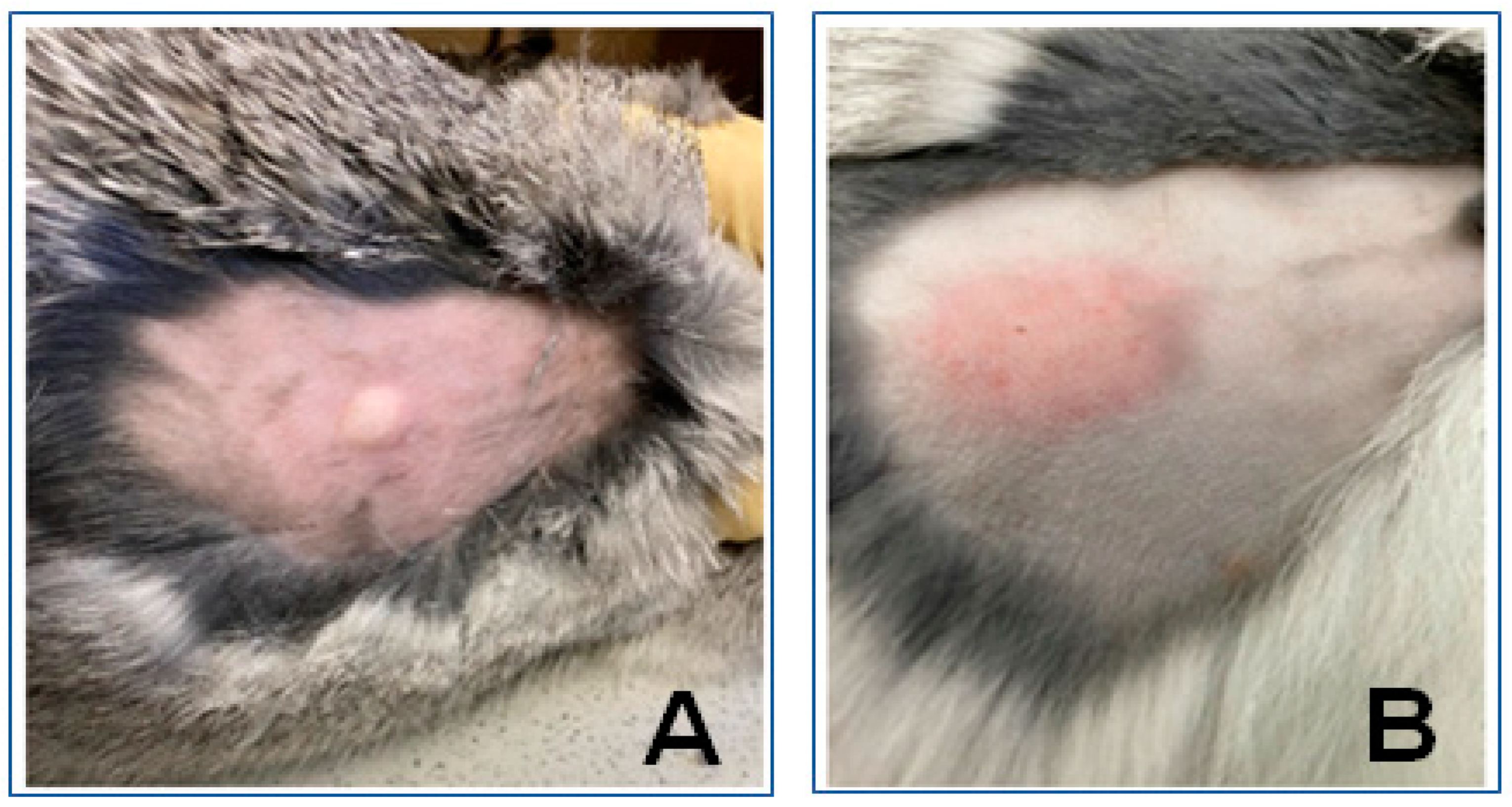 Biomedicines 11 02229 g001