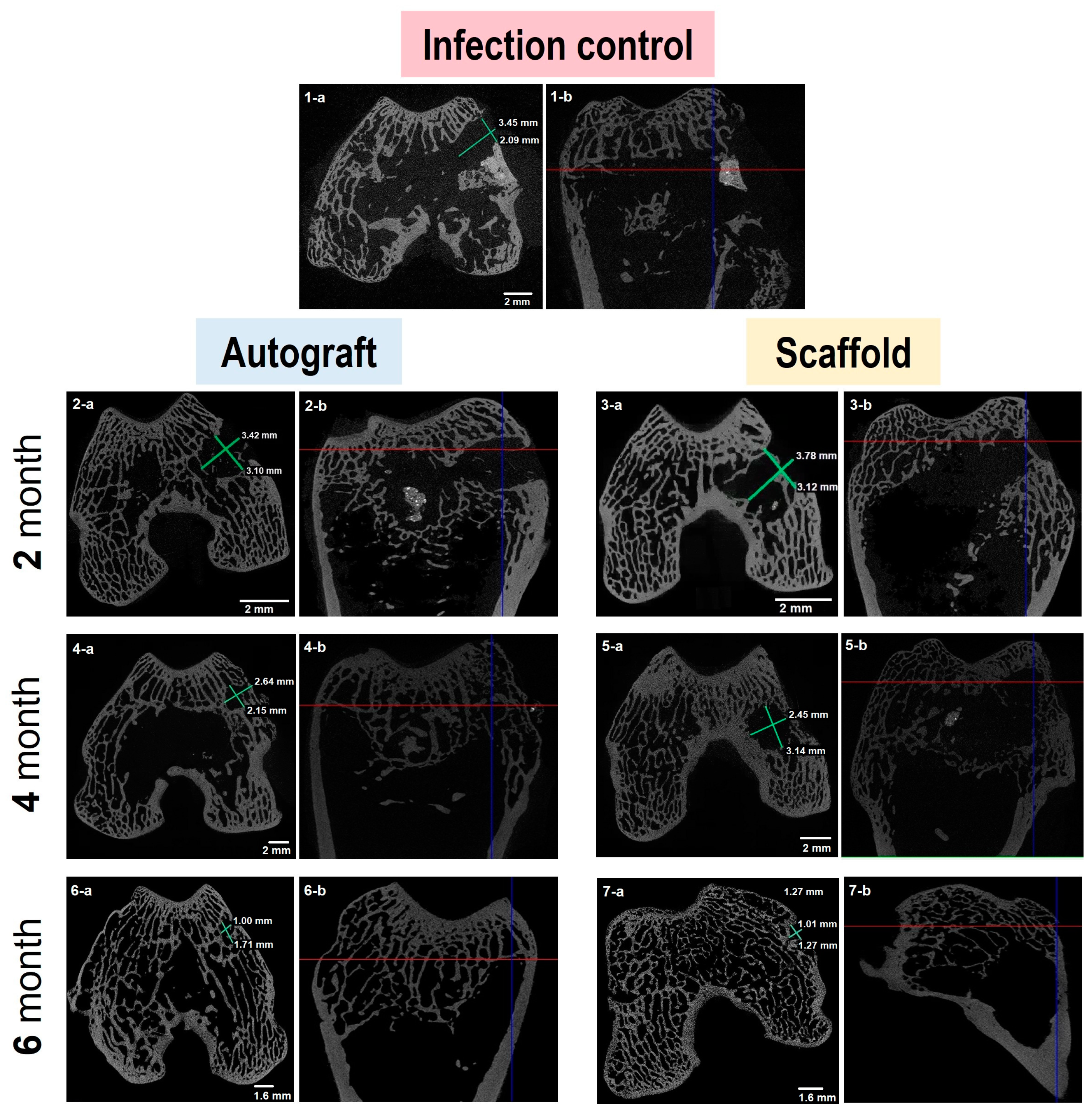 Biomedicines 11 02229 g003