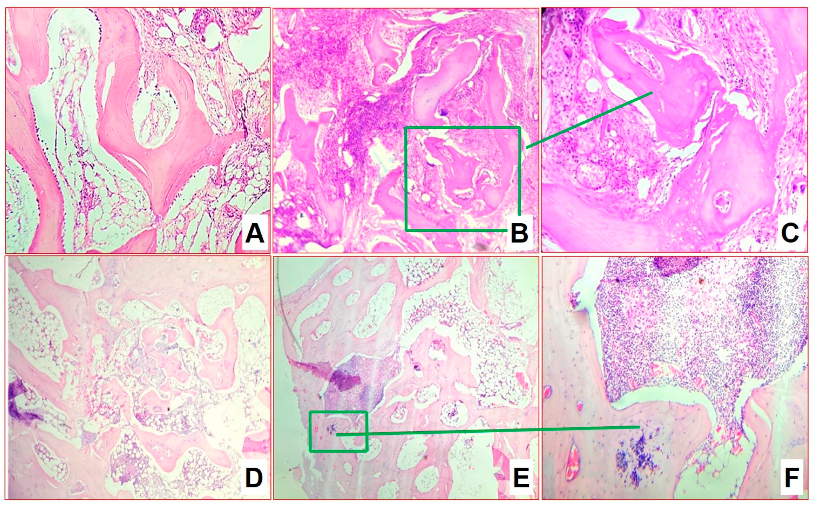 Biomedicines 11 02229 g006