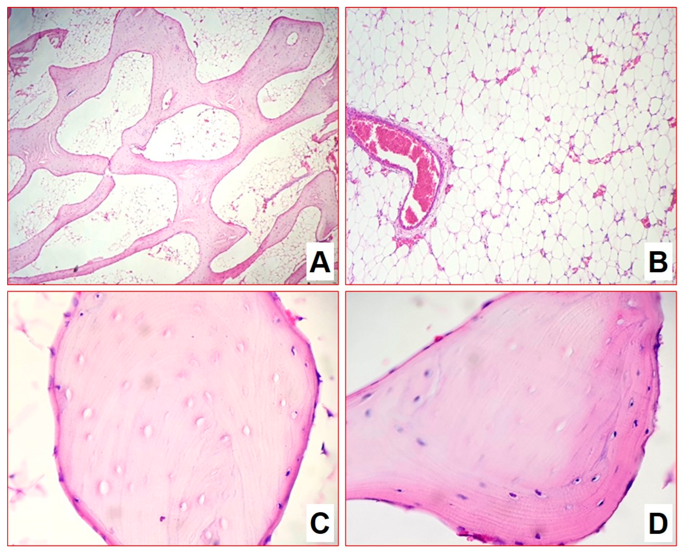 Biomedicines 11 02229 g007