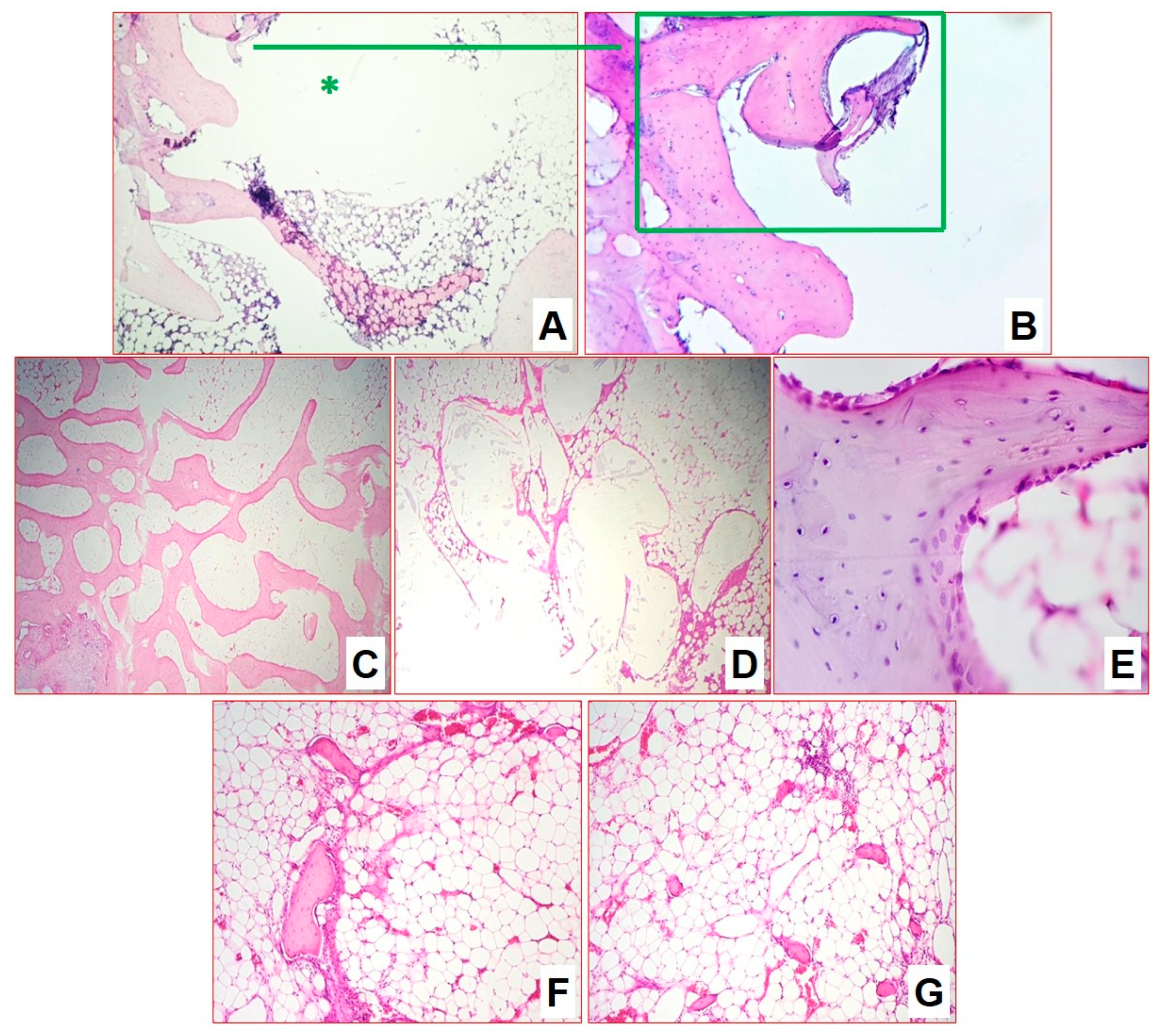 Biomedicines 11 02229 g009