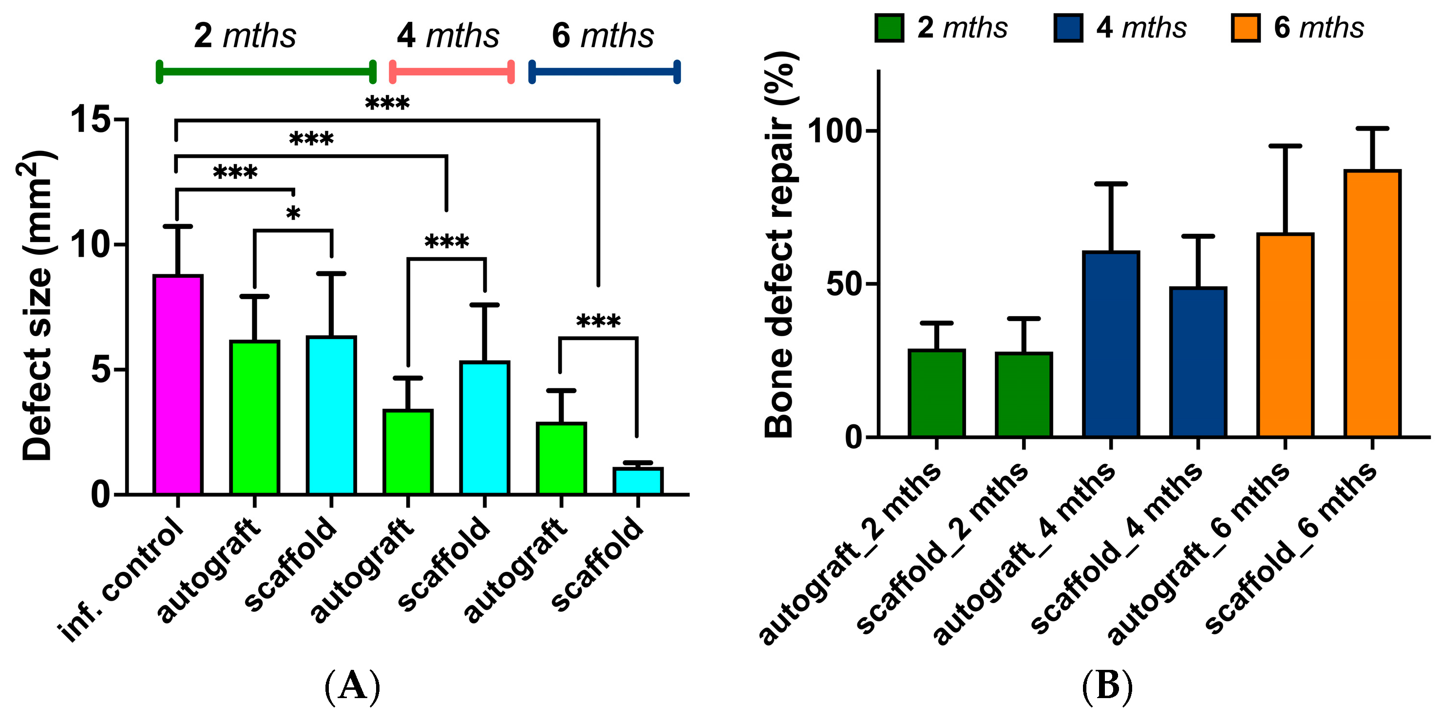 Biomedicines 11 02229 g010