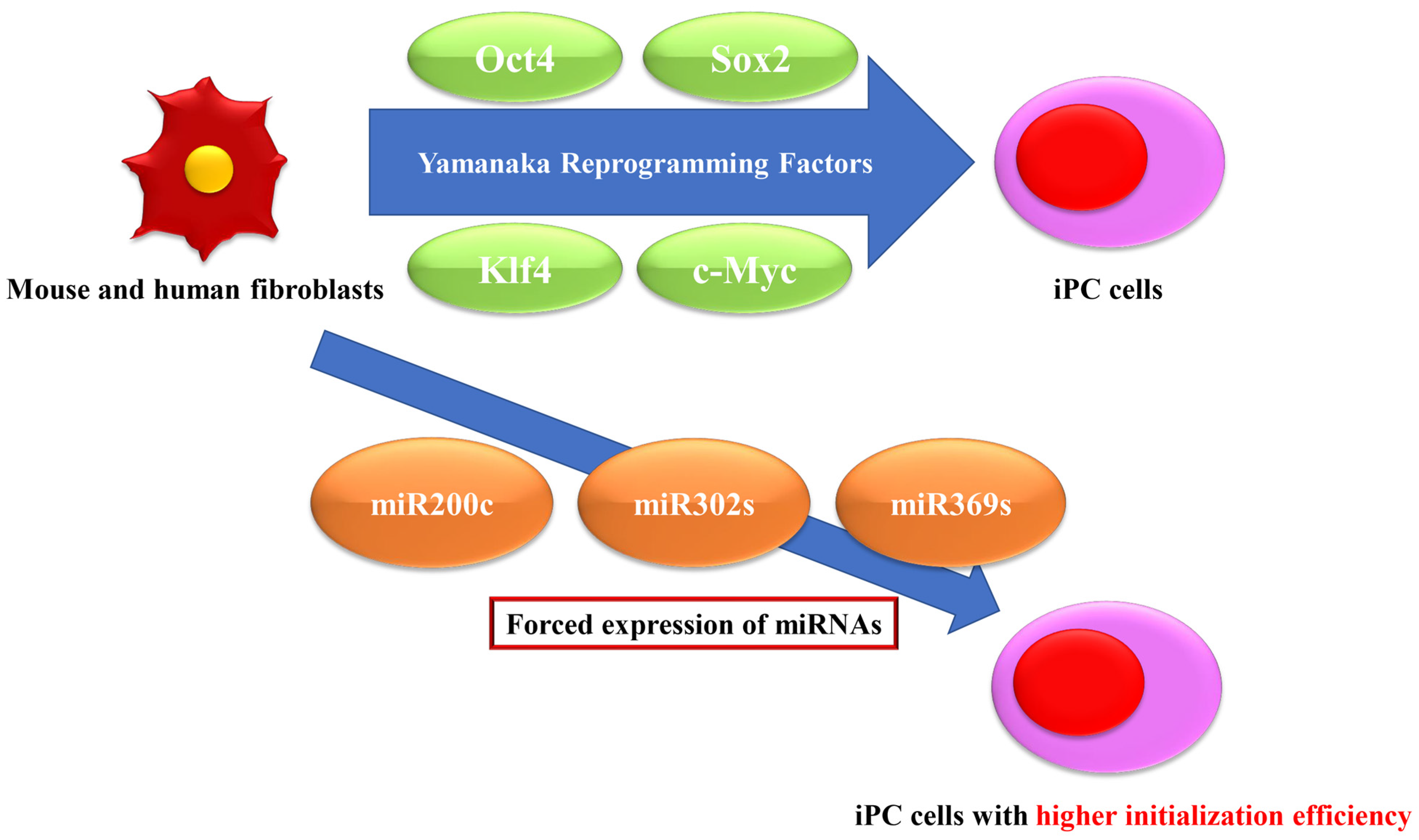 Biomedicines 11 02235 g002 Biomedicines 11 02235 g002