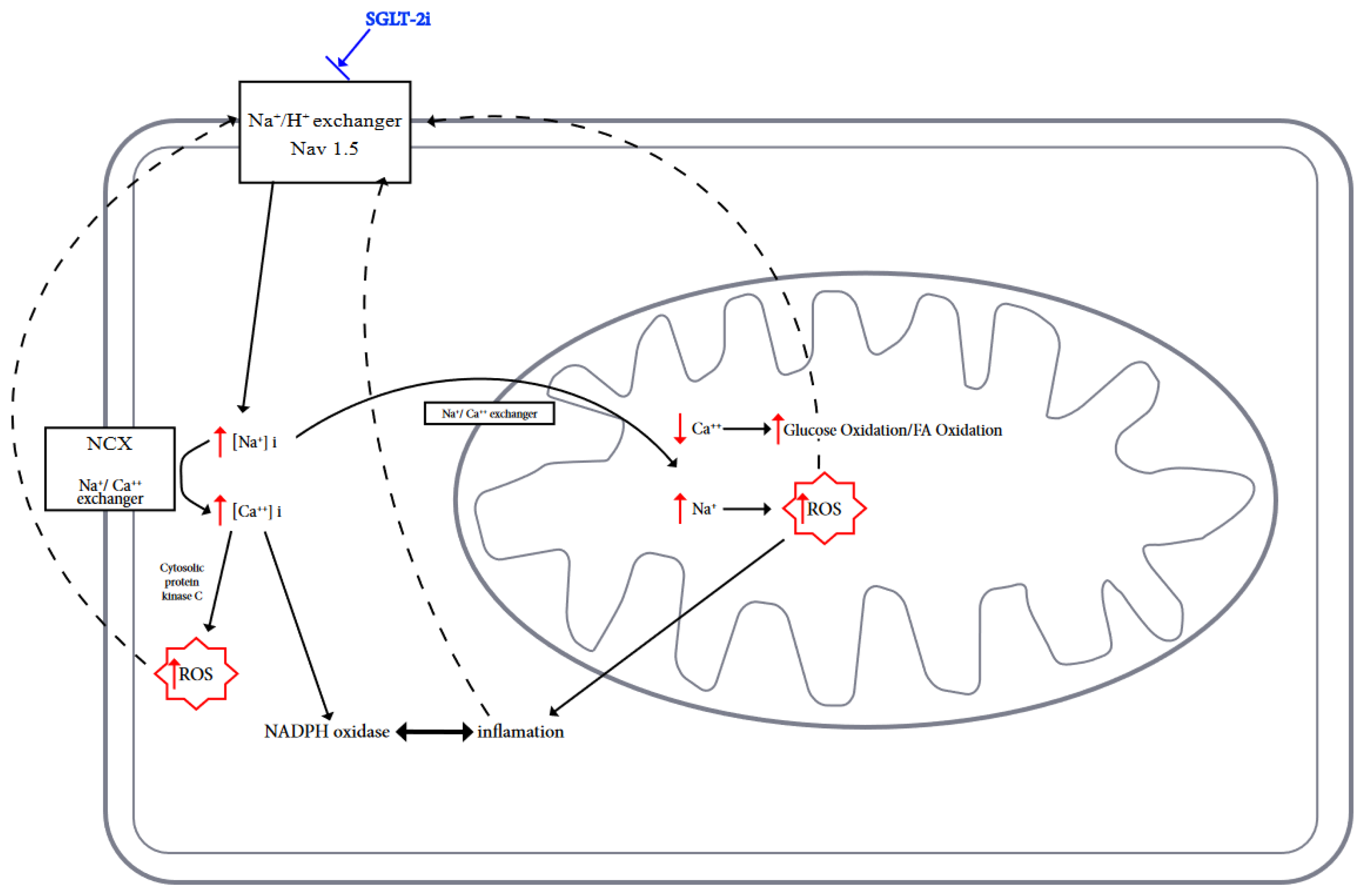 Biomedicines 11 02236 g001