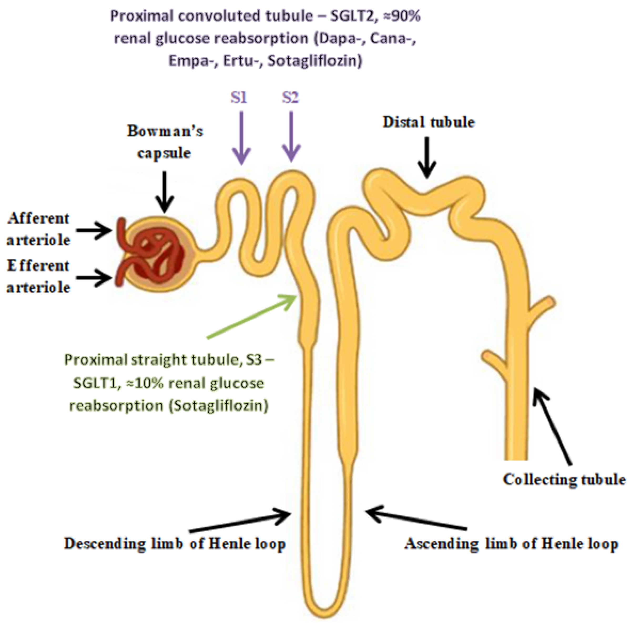 Biomedicines 11 02236 g002