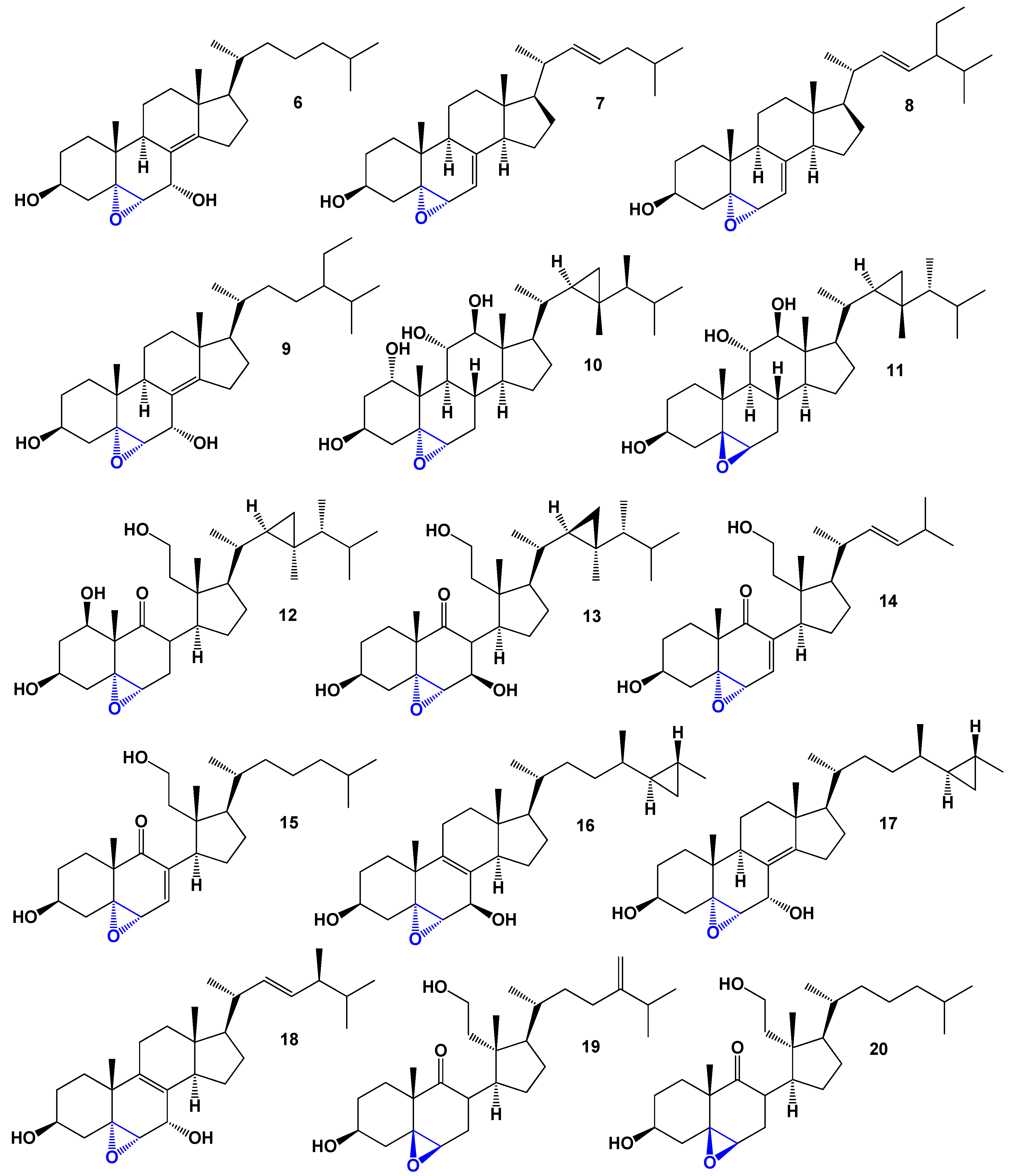 Biomedicines 11 02237 g006 Biomedicines 11 02237 g006