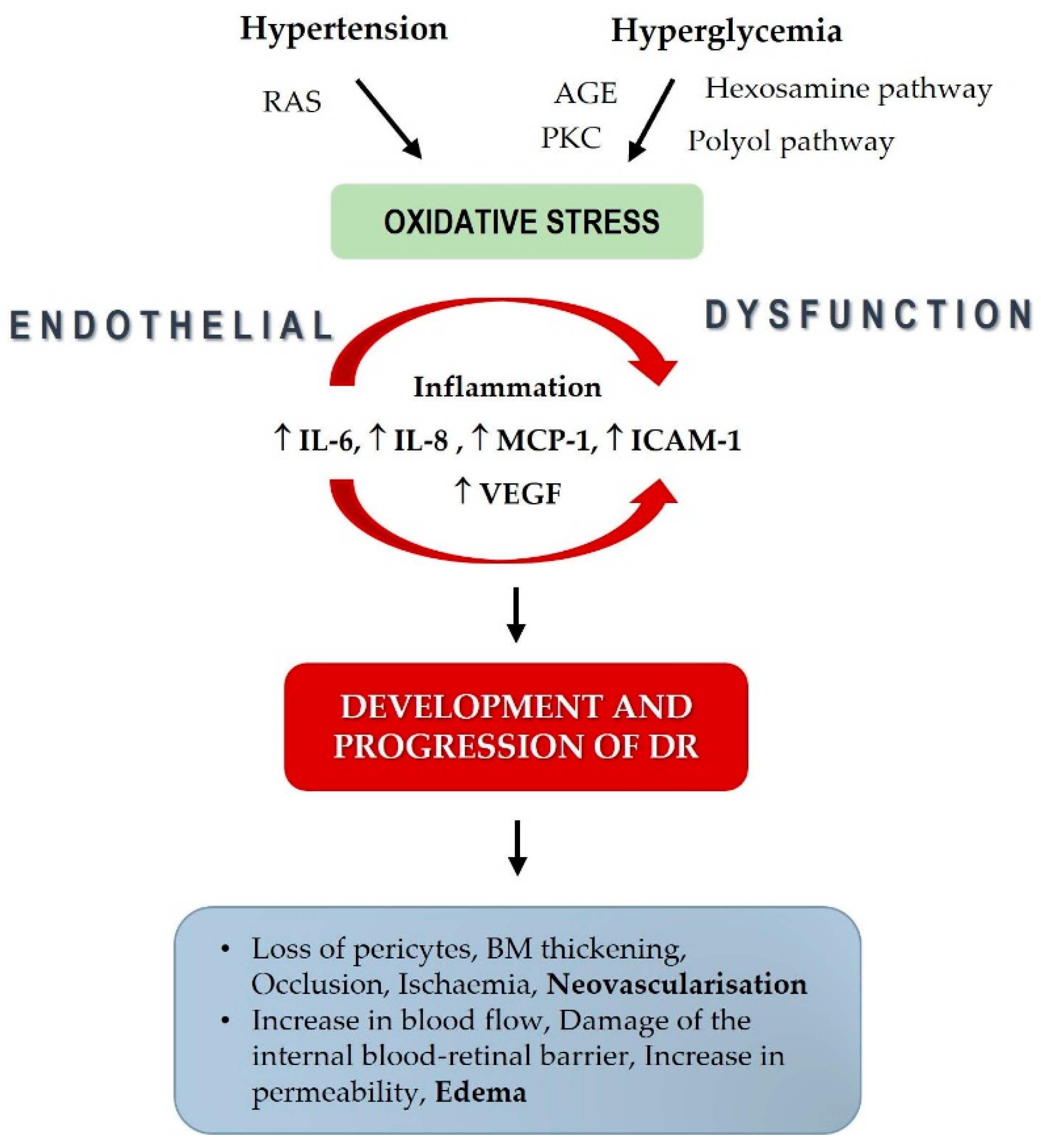 Biomedicines 11 02242 g004