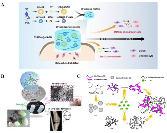 Evaluation and Application of Silk Fibroin Based