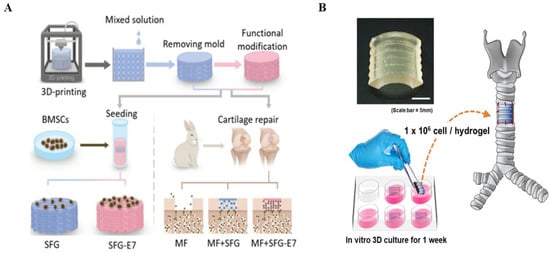 Silk fibroin scaffolds for common cartilage injuries