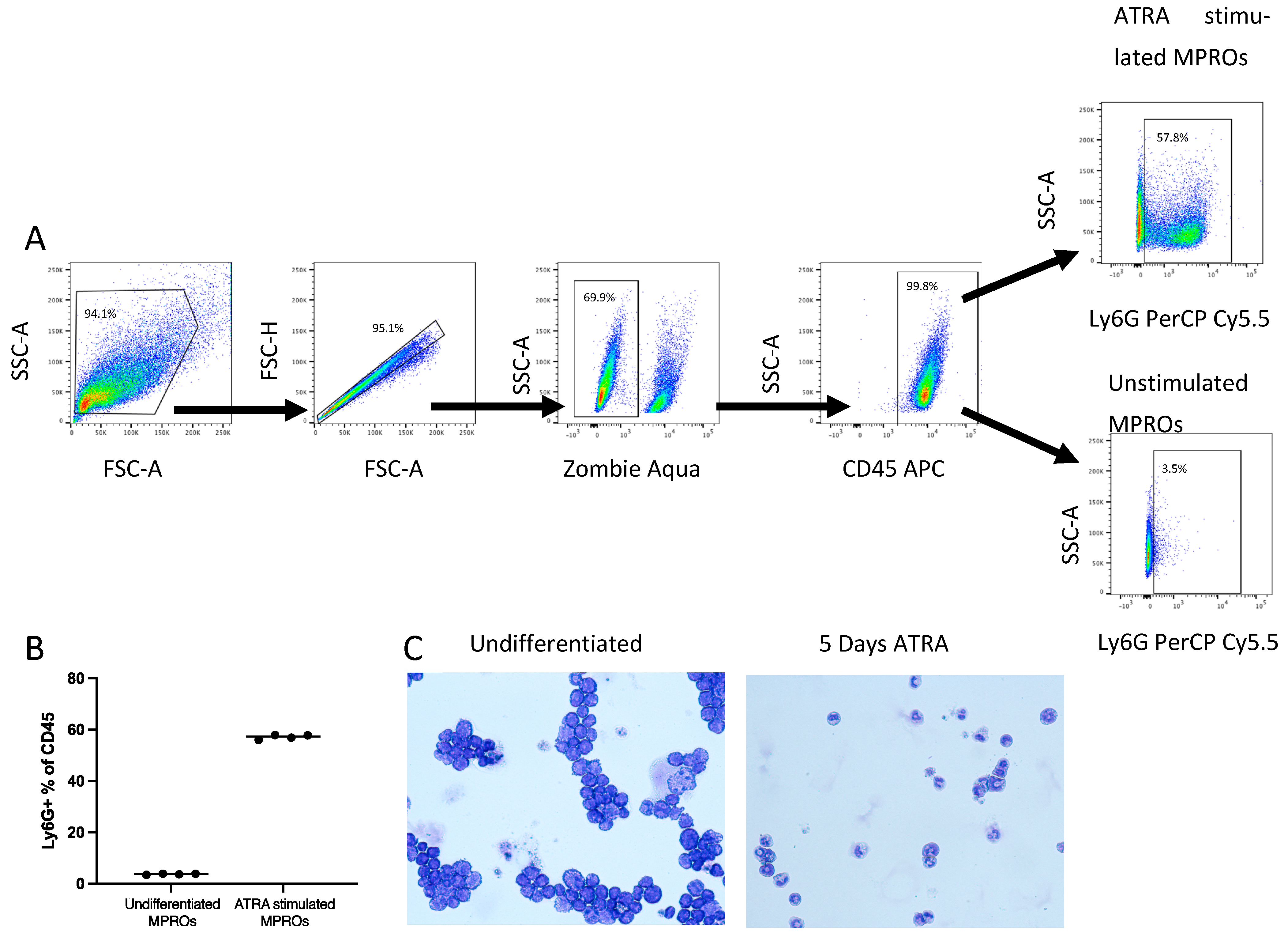 Biomedicines 11 02252 g001 Biomedicines 11 02252 g001