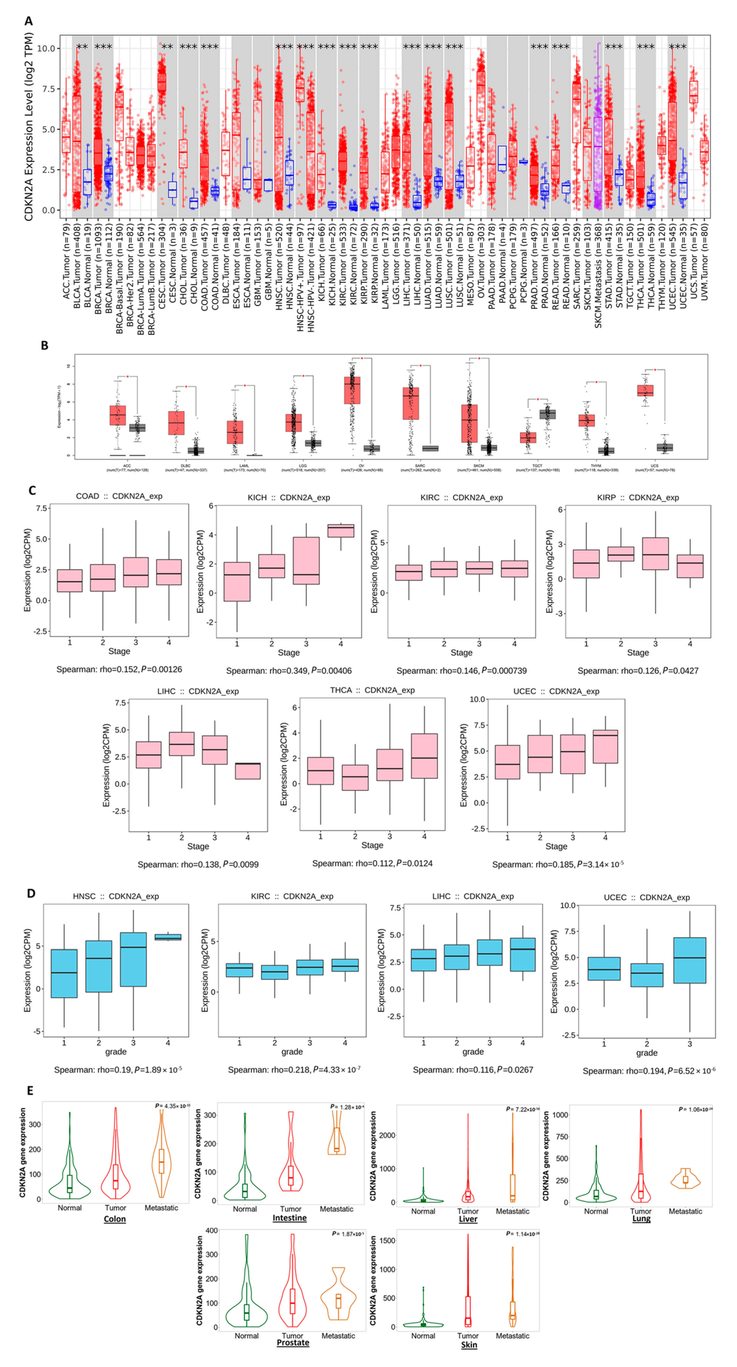 Biomedicines 11 02254 g001 Biomedicines 11 02254 g001