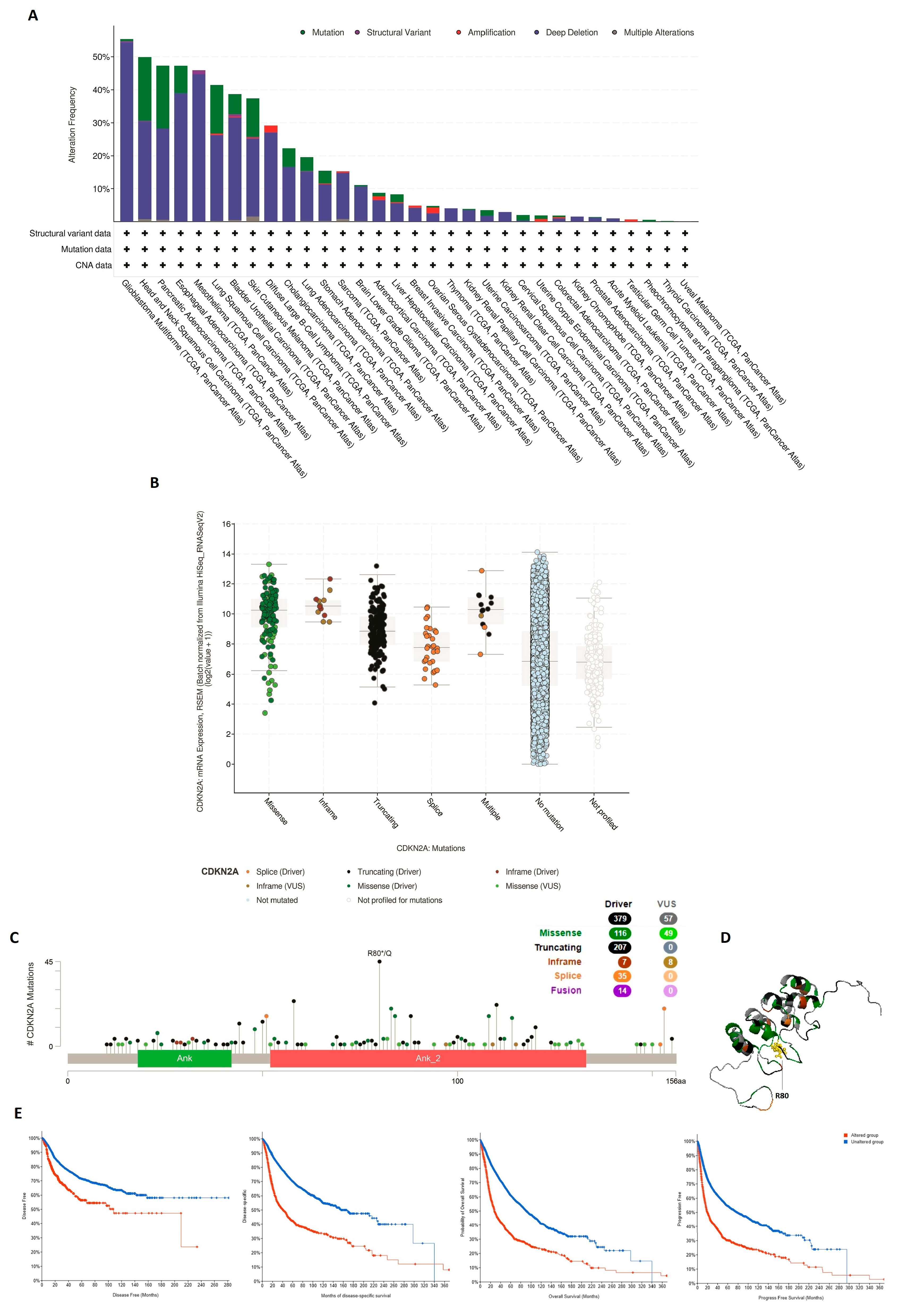Biomedicines 11 02254 g005 Biomedicines 11 02254 g005