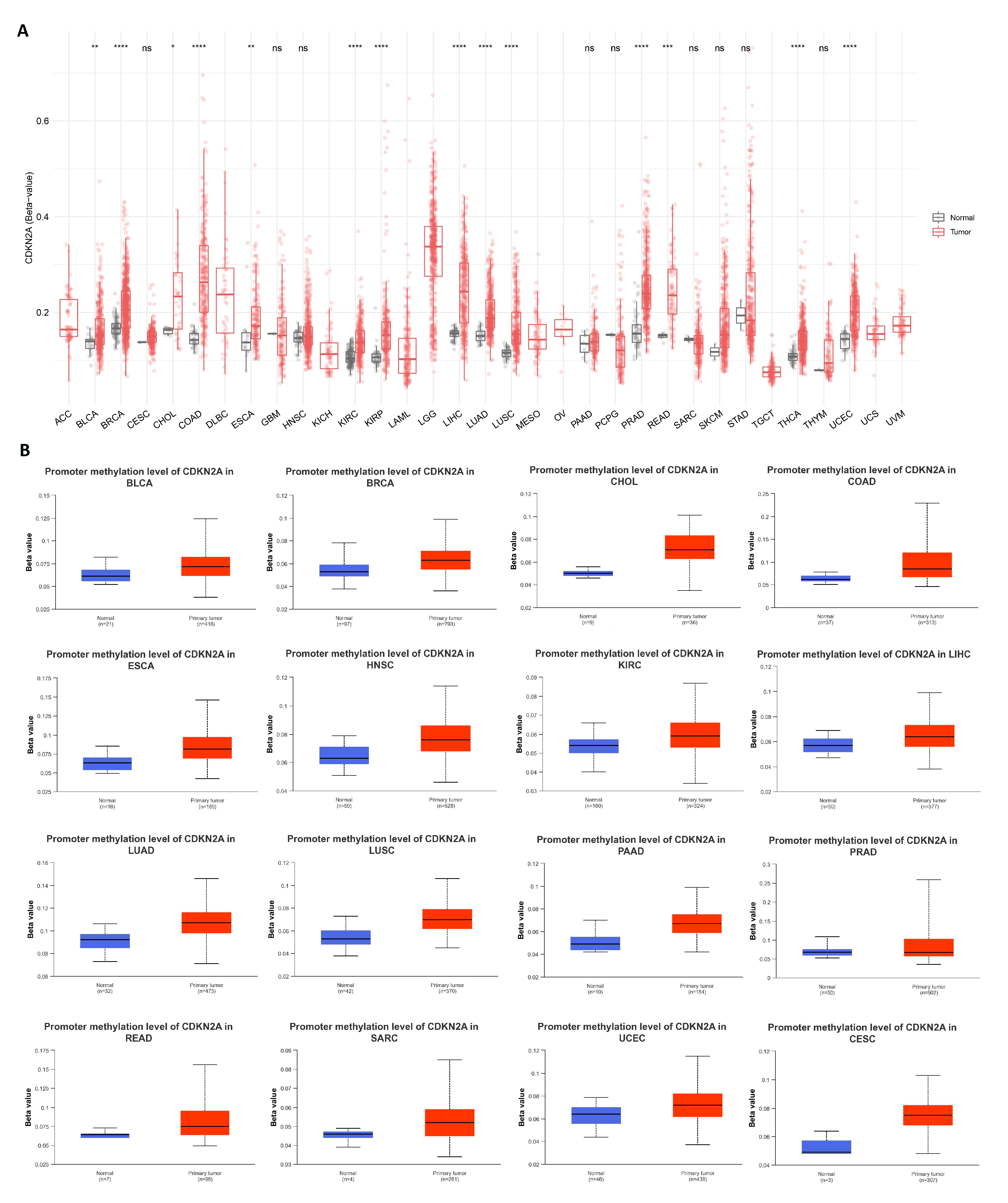 Biomedicines 11 02254 g006 Biomedicines 11 02254 g006