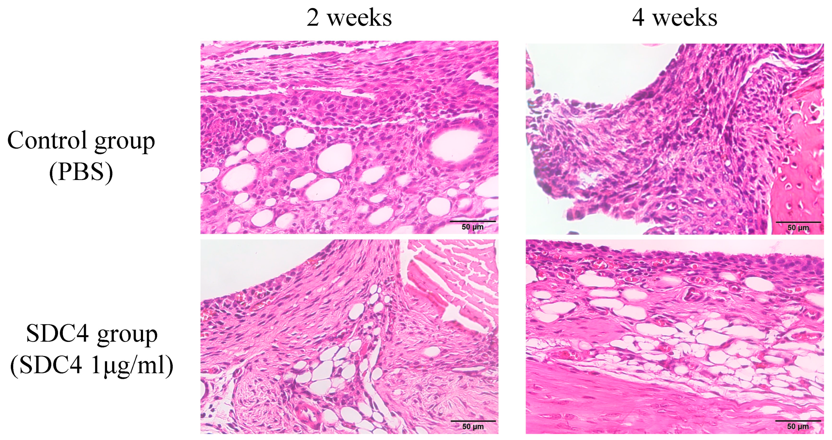 Biomedicines 11 02257 g004