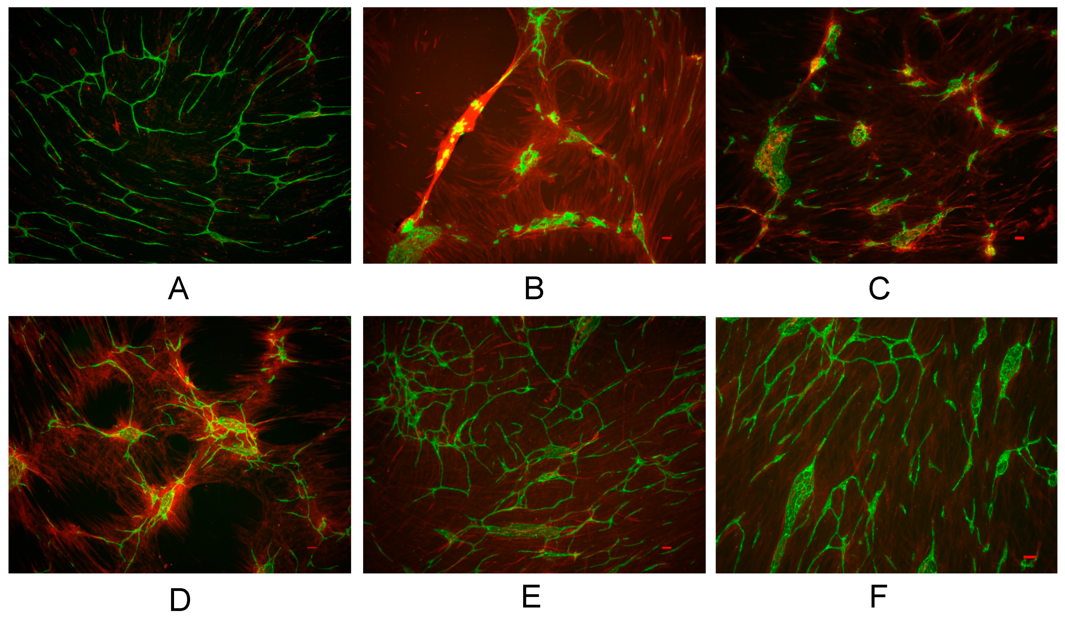Biomedicines 11 02259 g001 Biomedicines 11 02259 g001