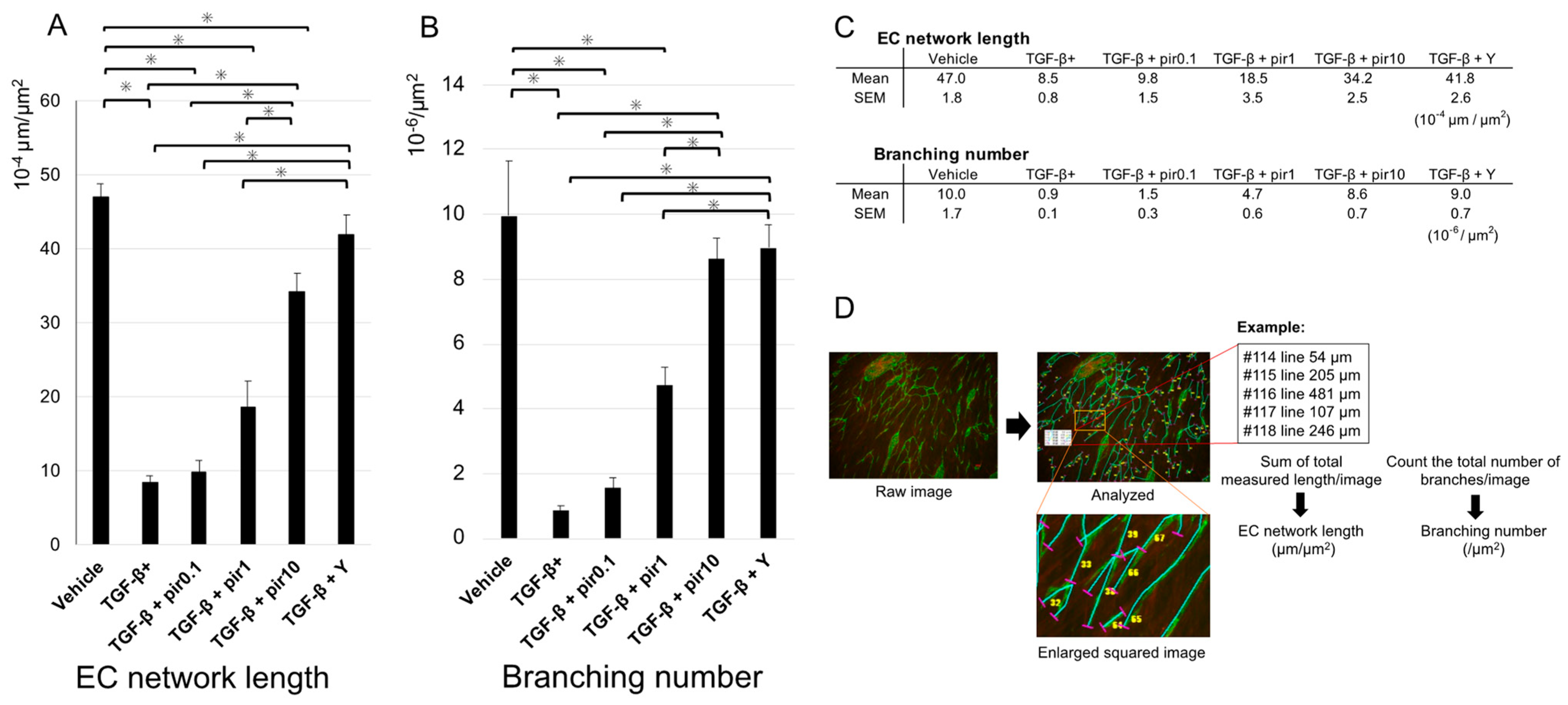 Biomedicines 11 02259 g002 Biomedicines 11 02259 g002