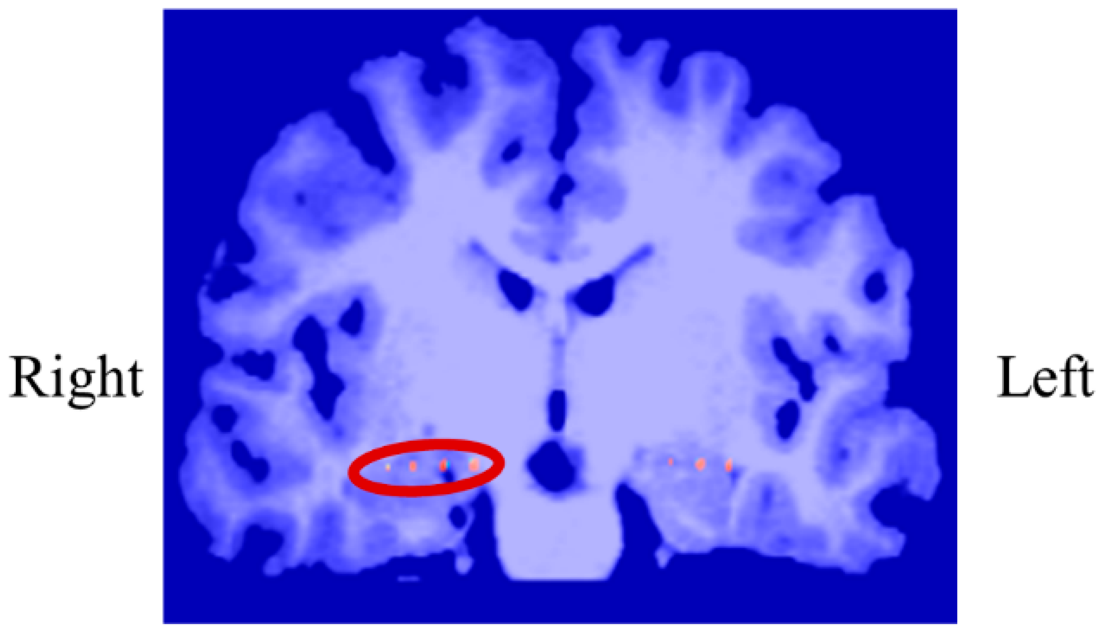 Biomedicines 11 02262 g004